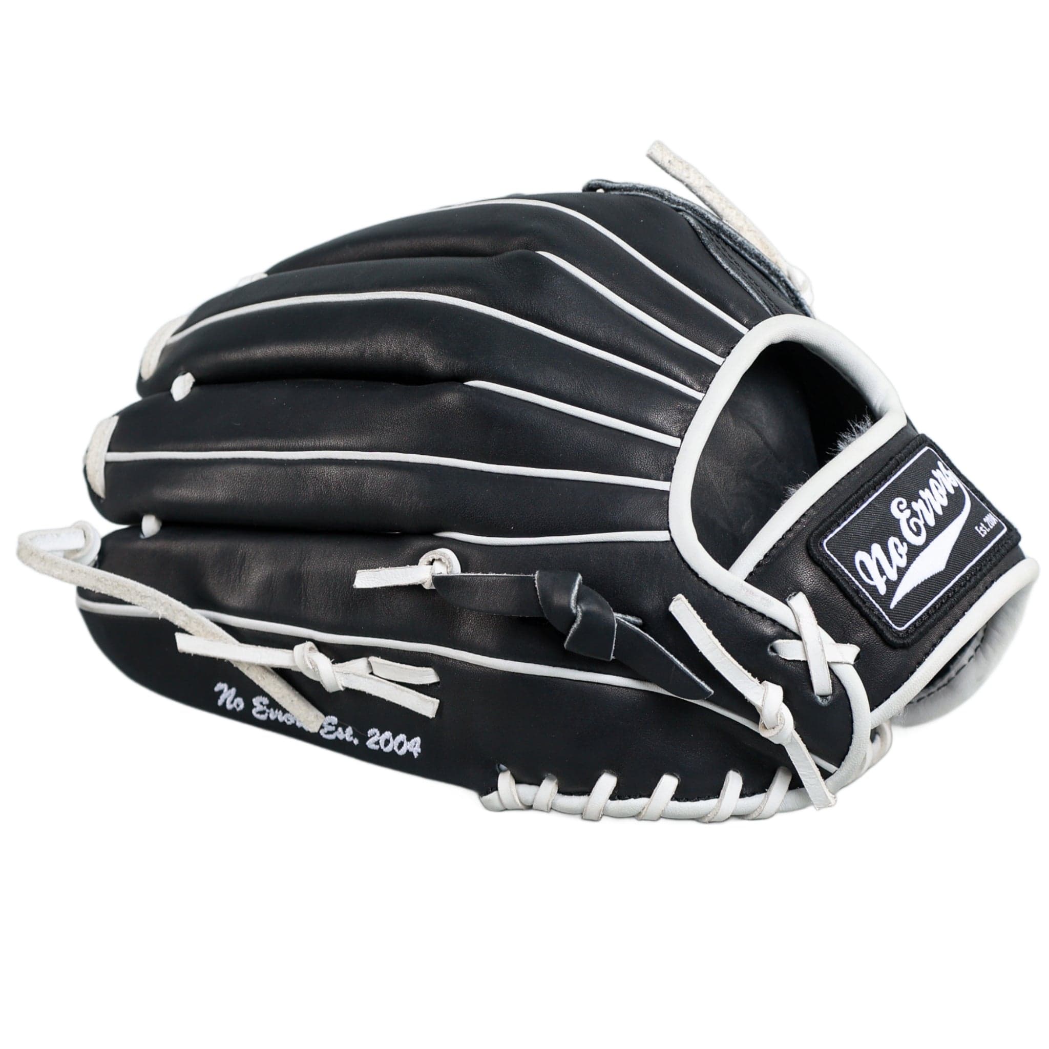 NO E HWEB  DWC FIELDERS GLOVE - 001