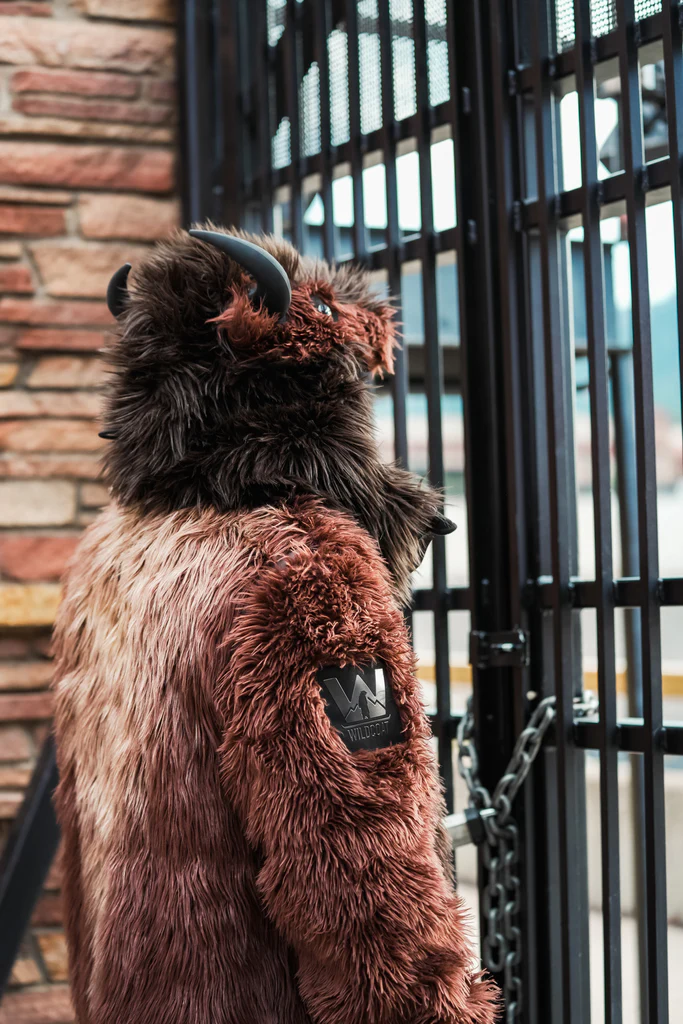 THE BUFFALO COAT, v5