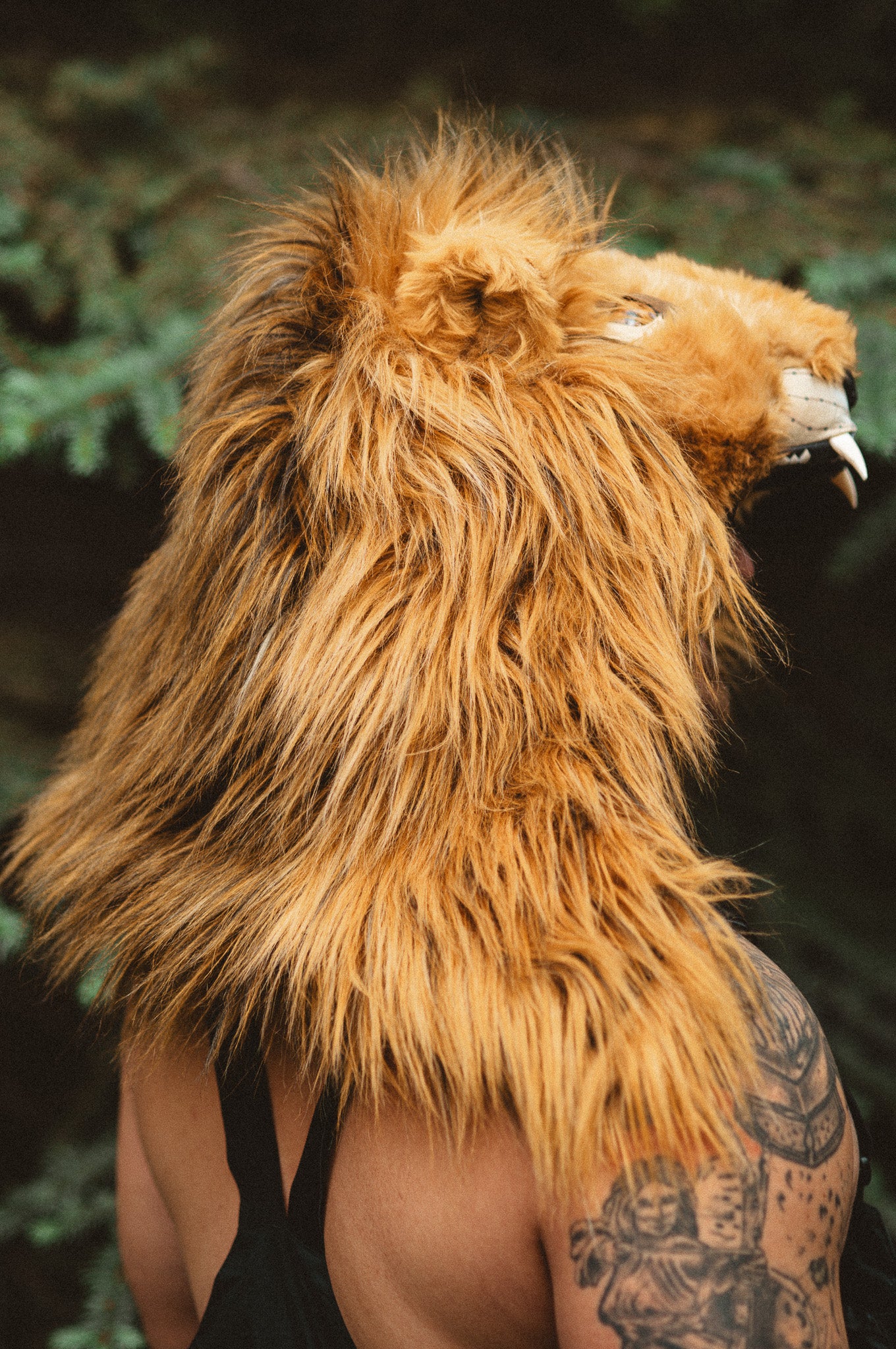 THE LION HOOD