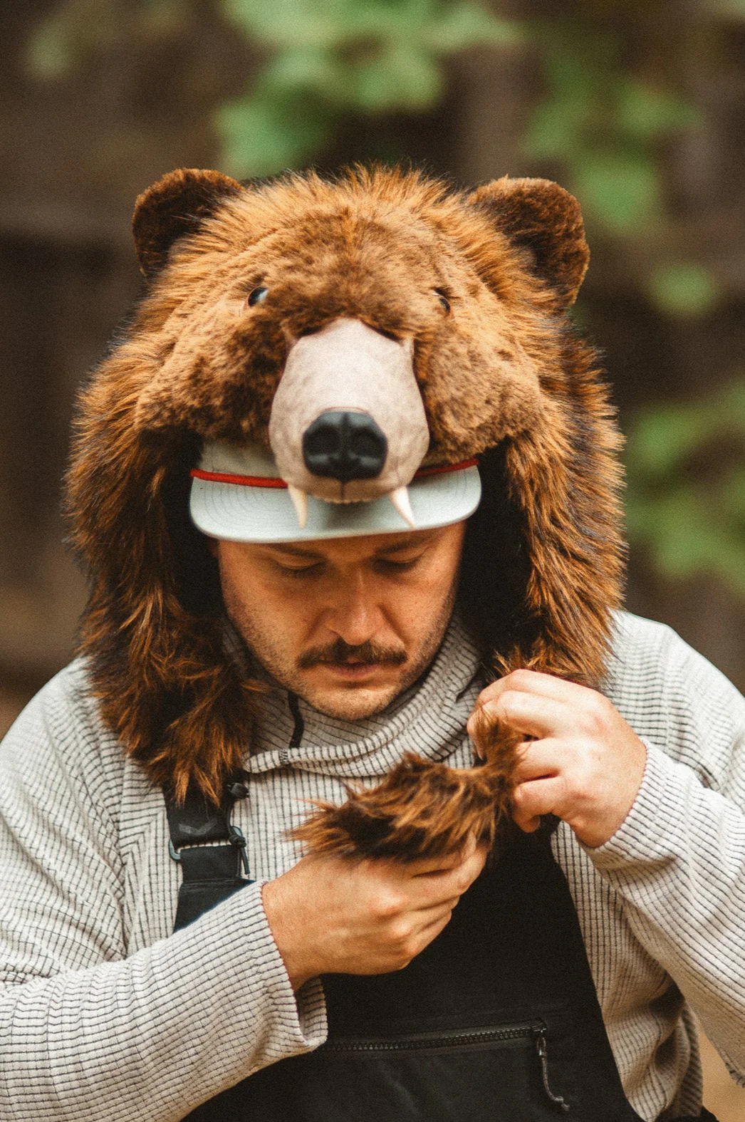 THE GRIZZLY BEARACLAVA, v5