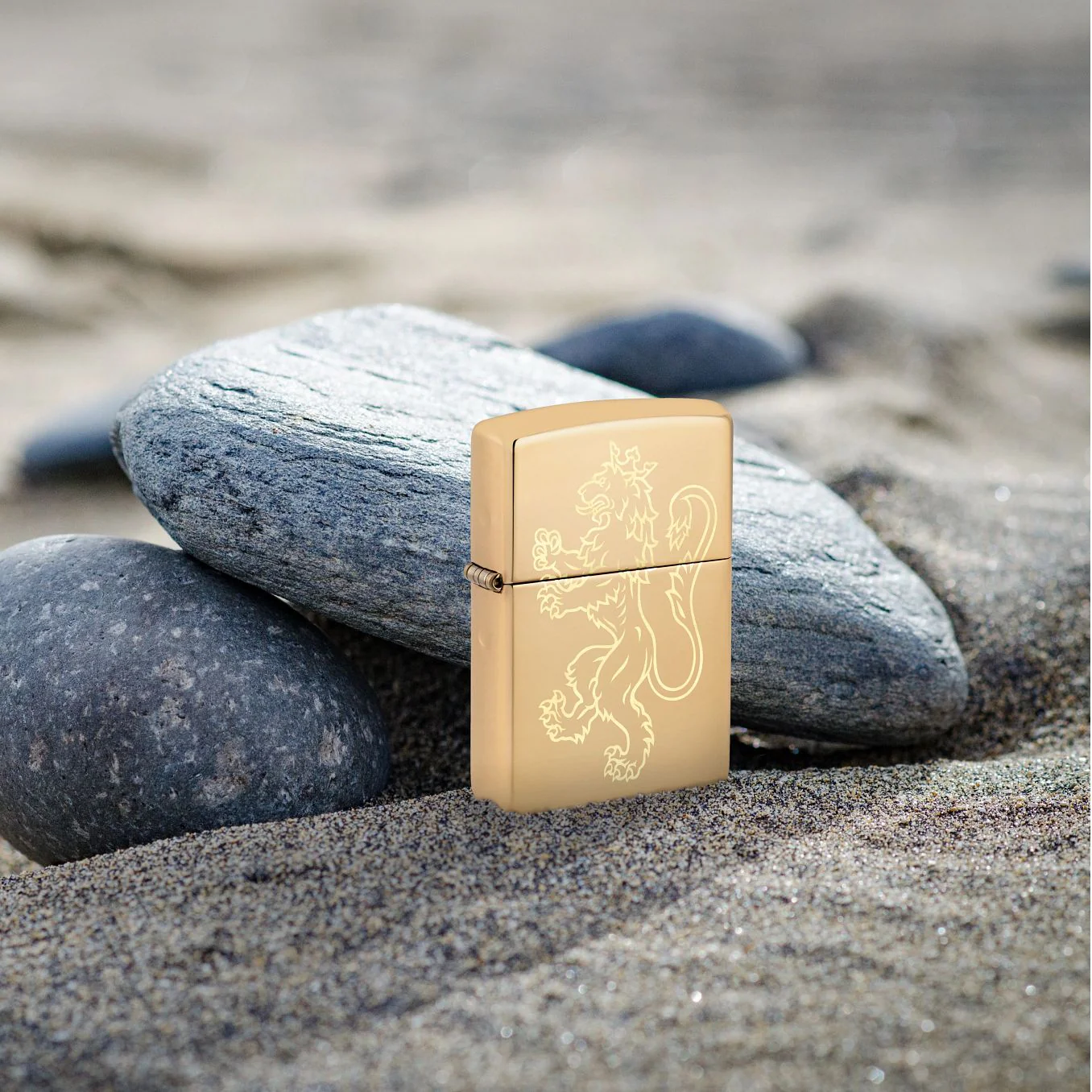 Fighting Lion Design