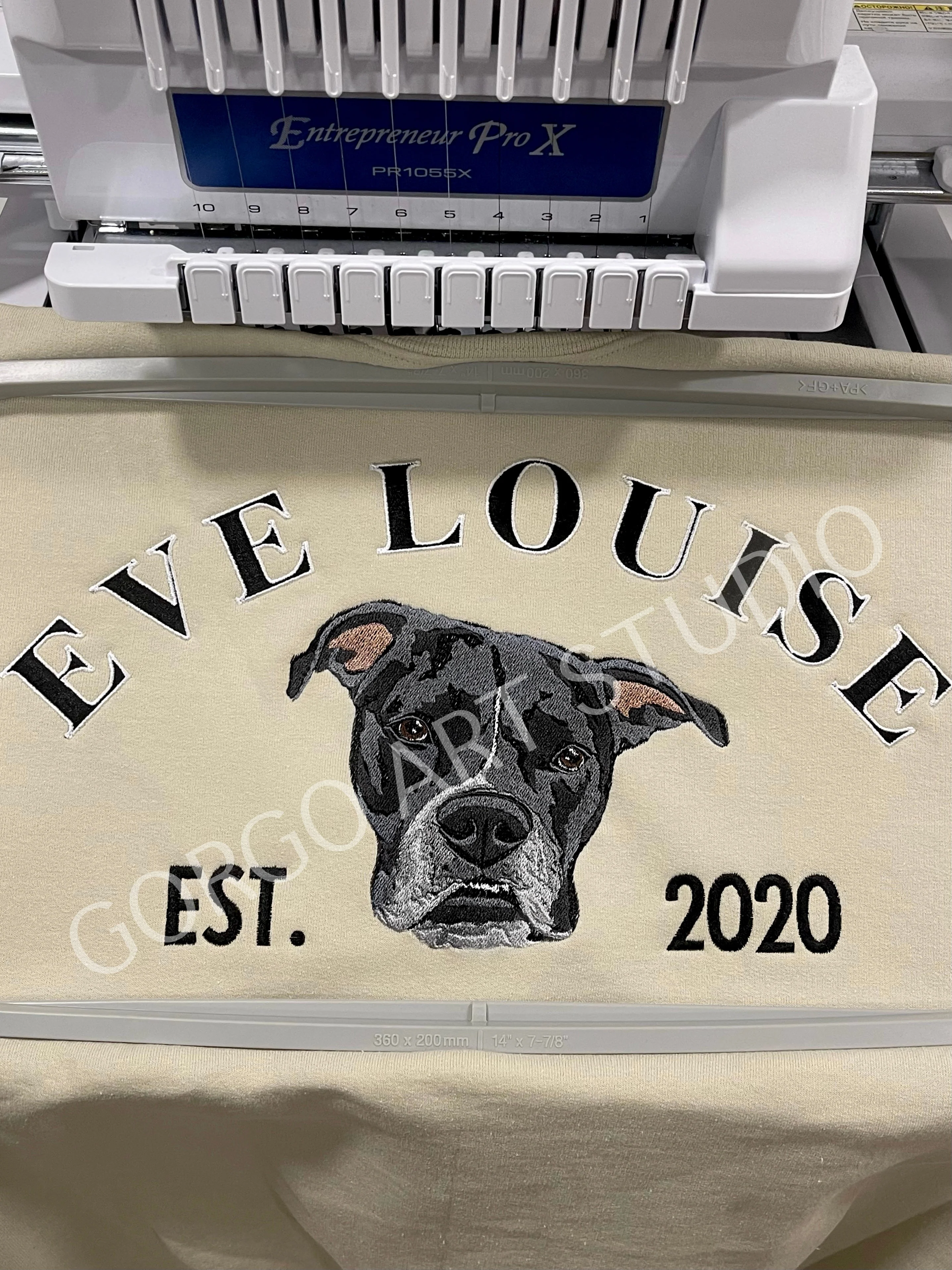 Embroidered Varsity Style Crewneck