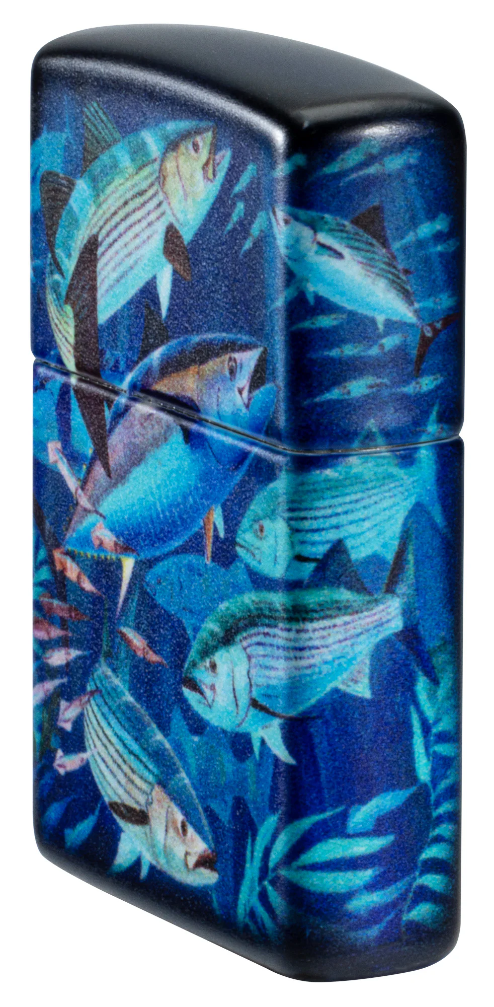 Guy Harvey Fish School Design