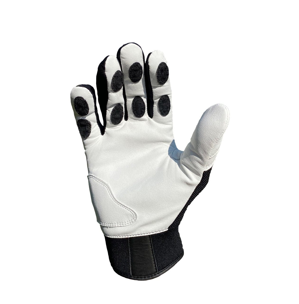 Canine Batting Gloves