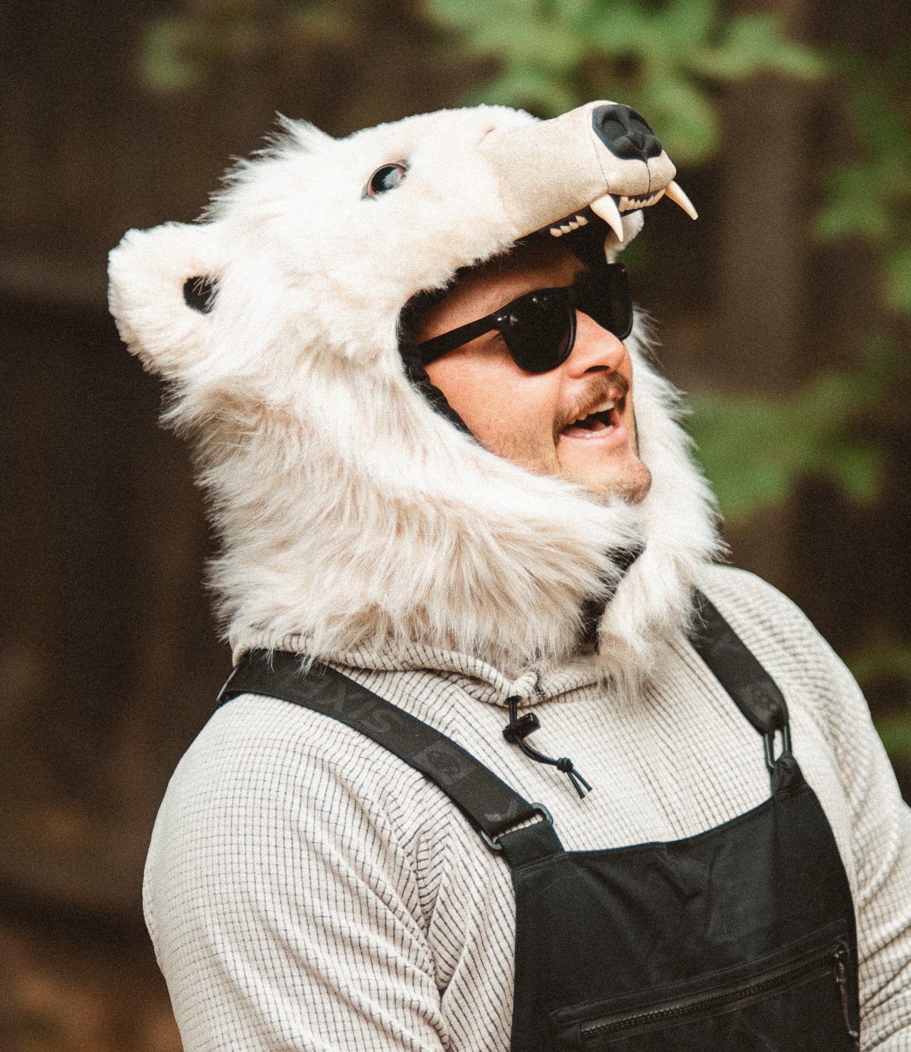 THE POLAR BEARACLAVA, v5