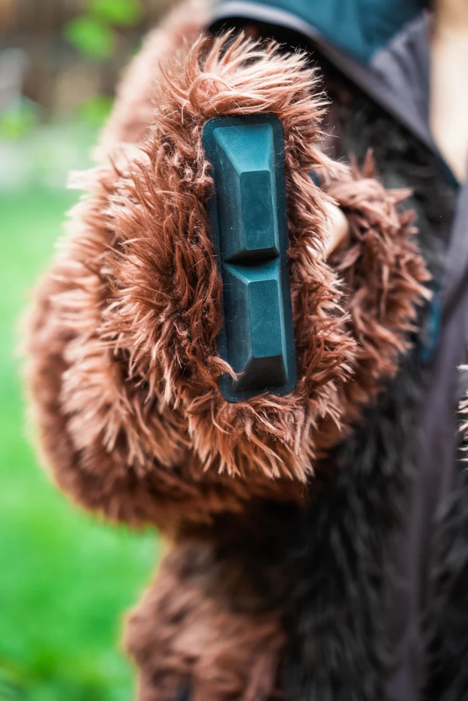 THE BUFFALO COAT, v5