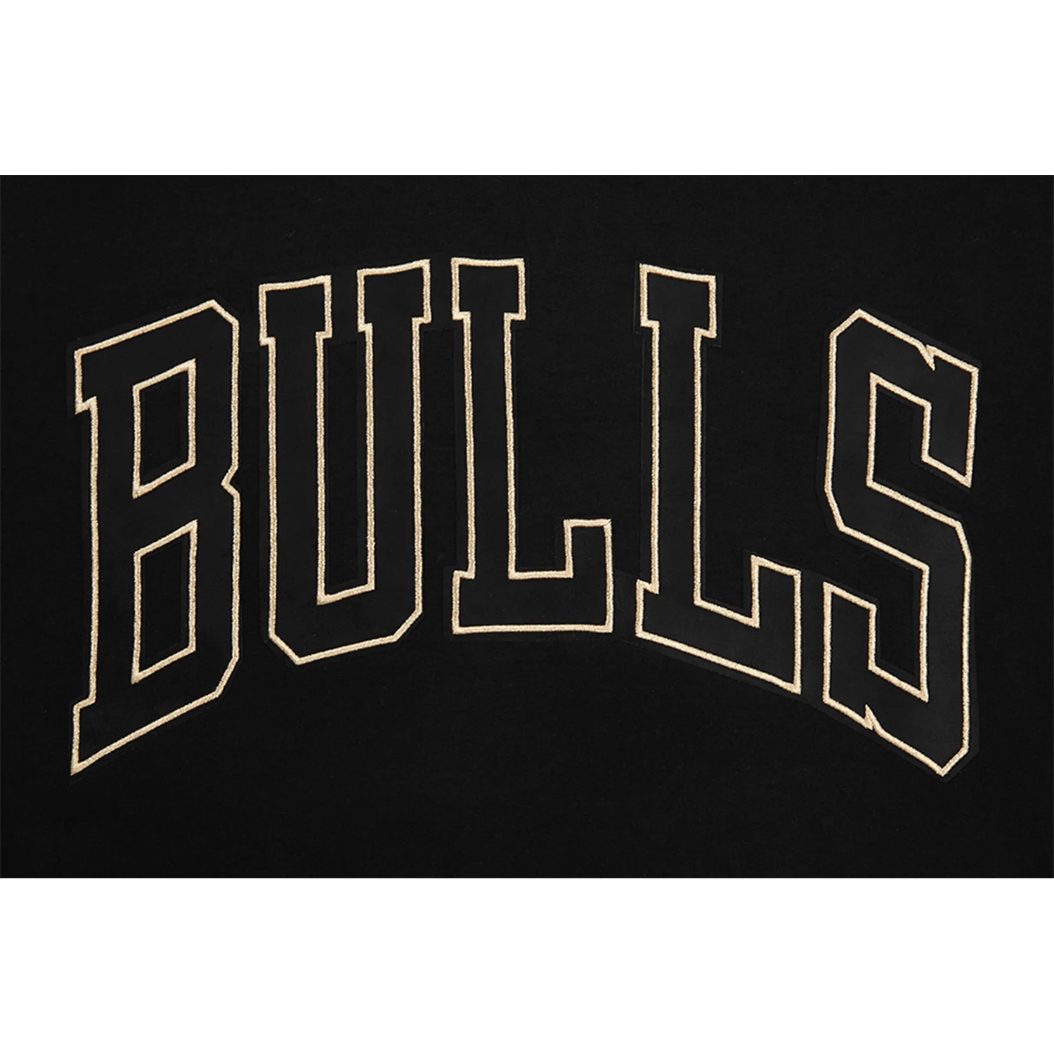 Chicago Bulls Pro Standard Gold Collection Hooded Sweatshirt