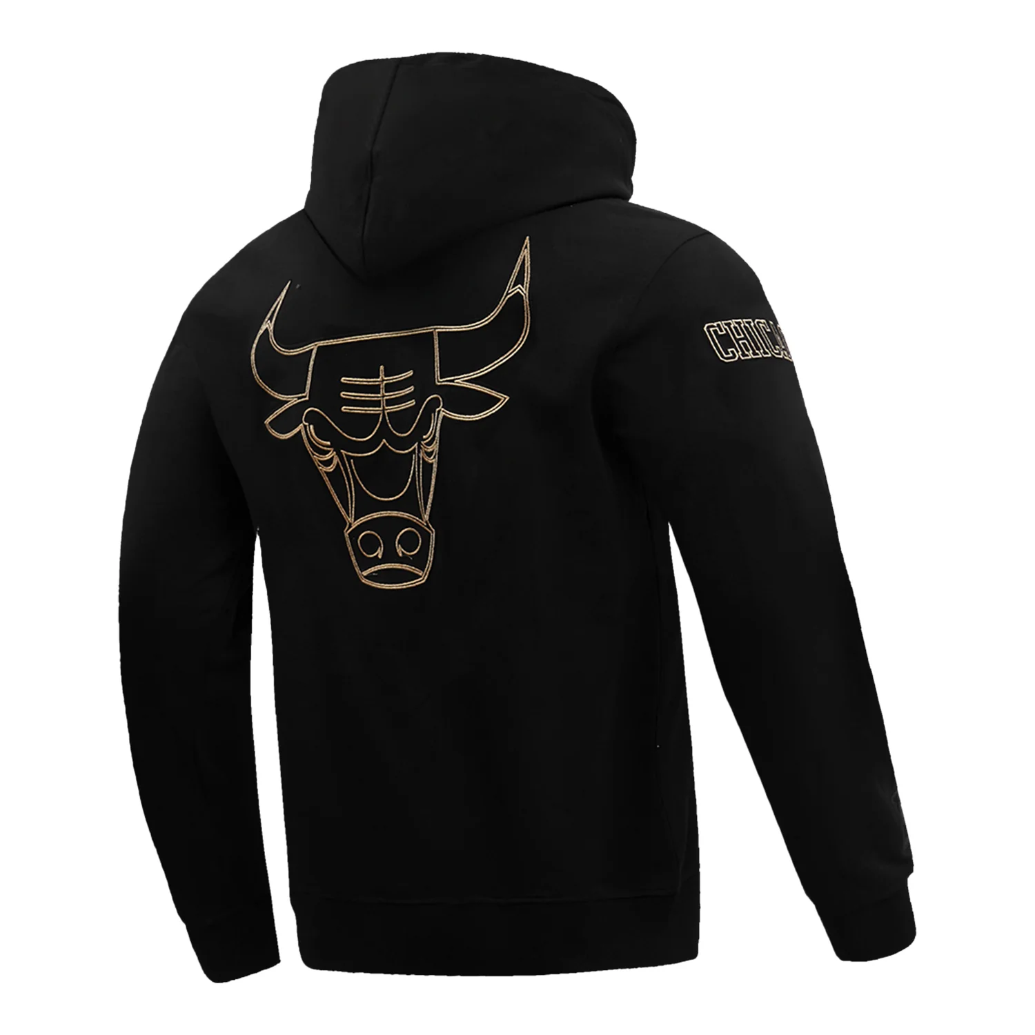 Chicago Bulls Pro Standard Gold Collection Hooded Sweatshirt