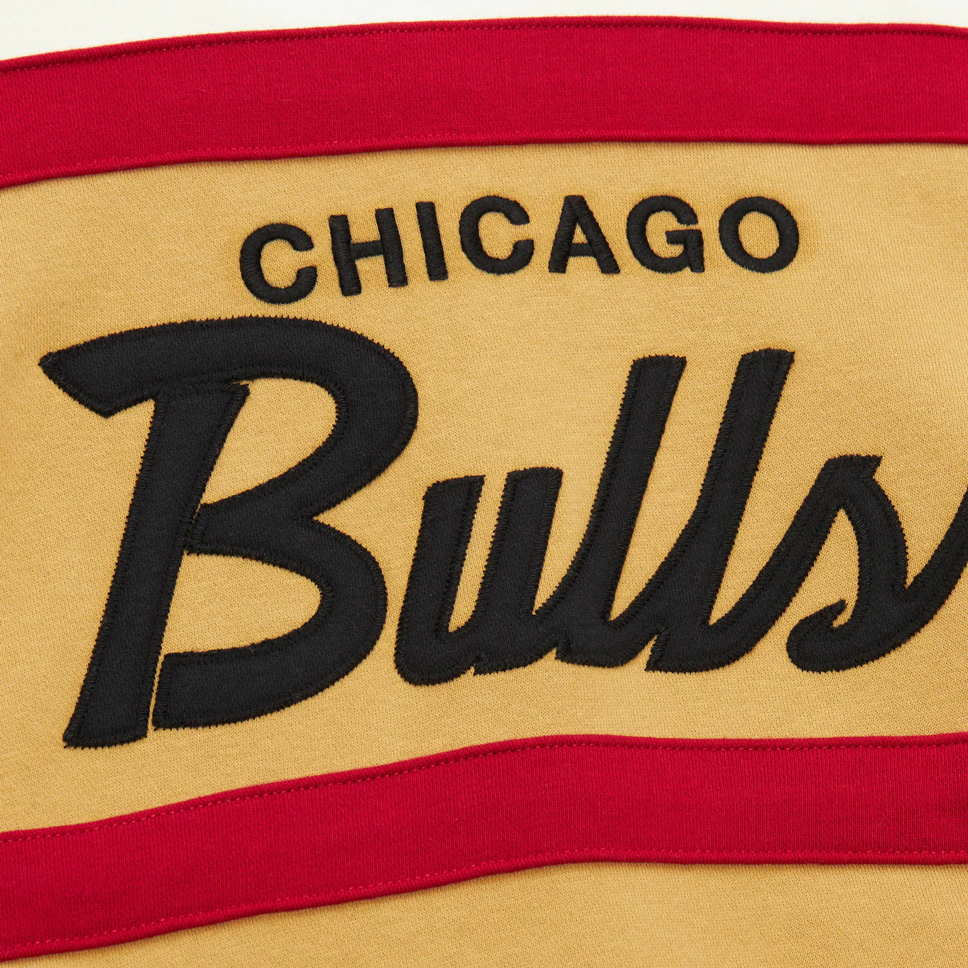 Chicago Bulls Mitchell & Ness Head Coach Colorblock Hoodie