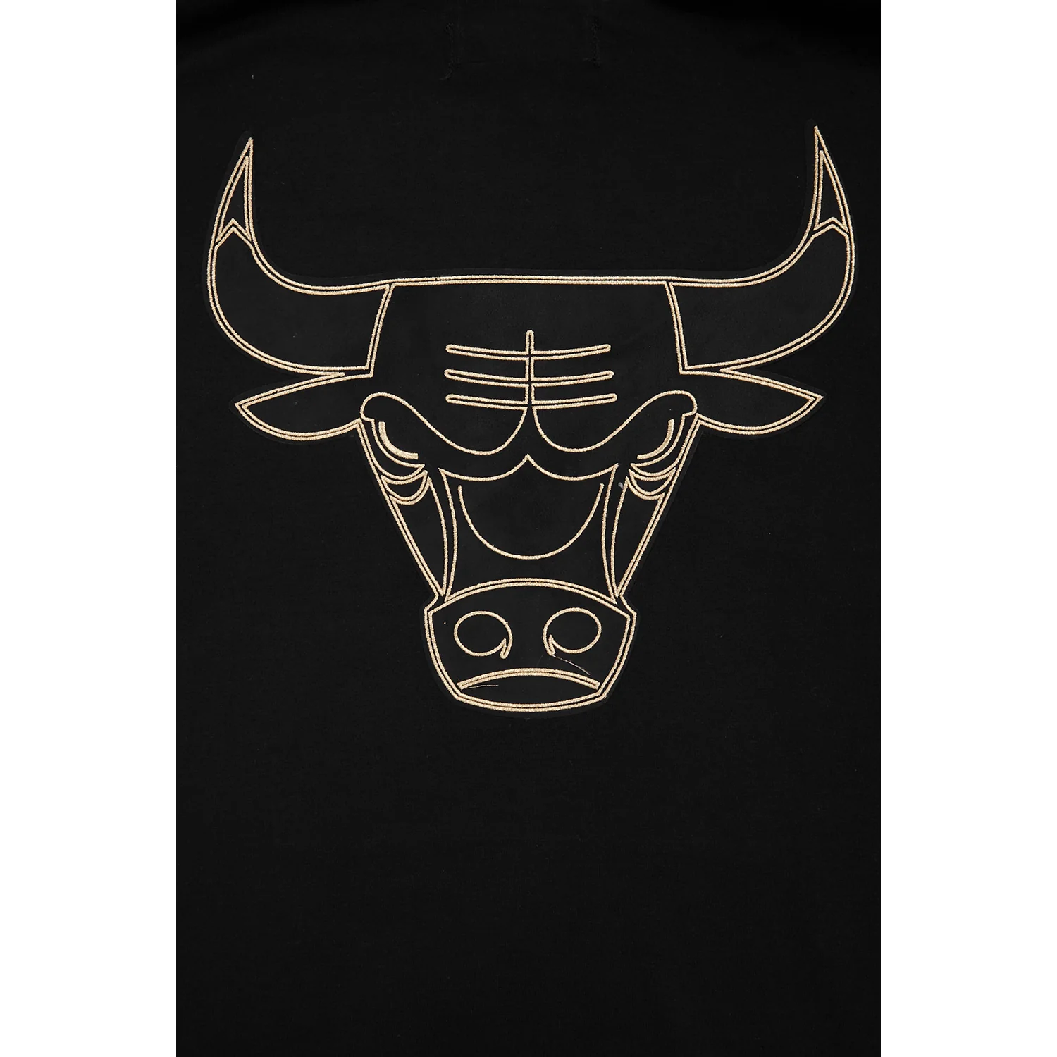 Chicago Bulls Pro Standard Gold Collection Hooded Sweatshirt