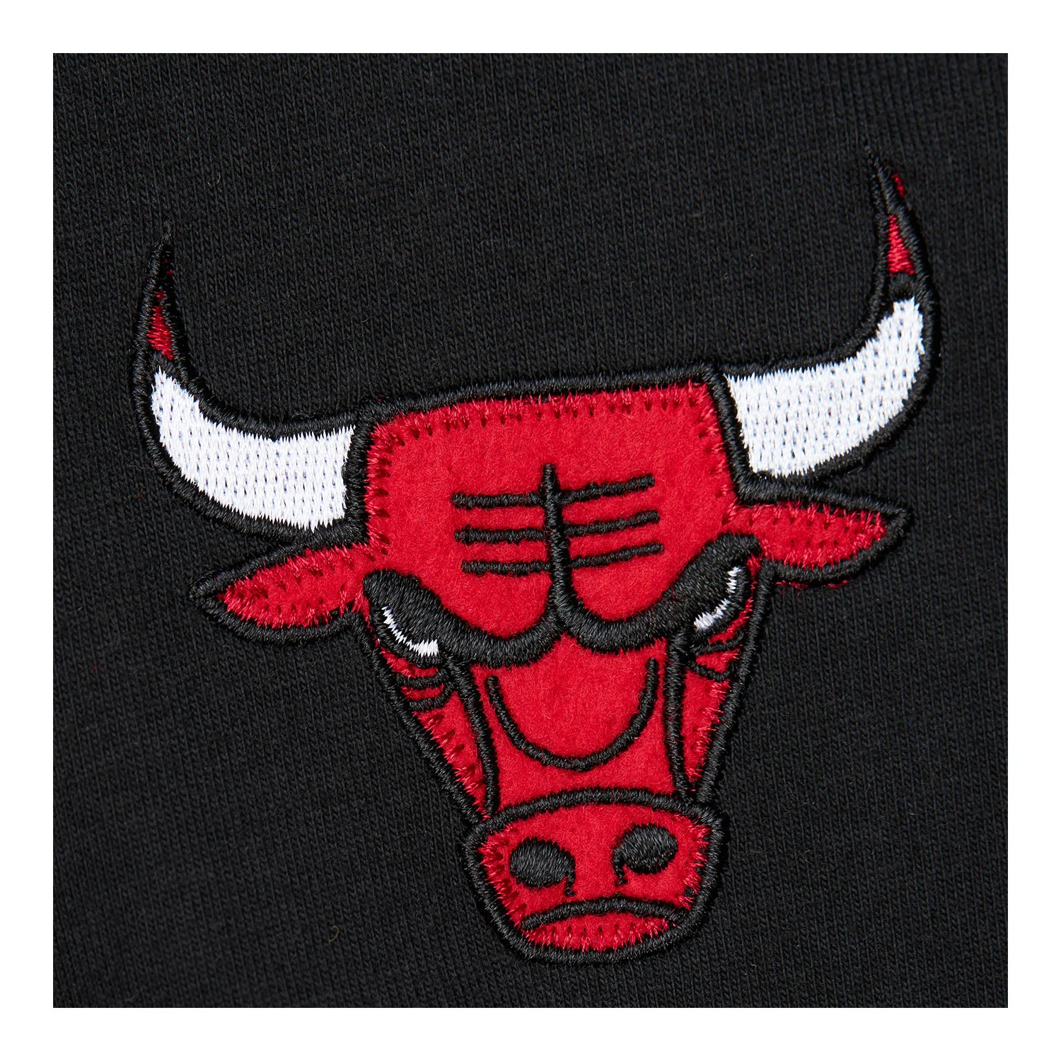 Chicago Bulls Premium Dennis Rodman T-Shirt