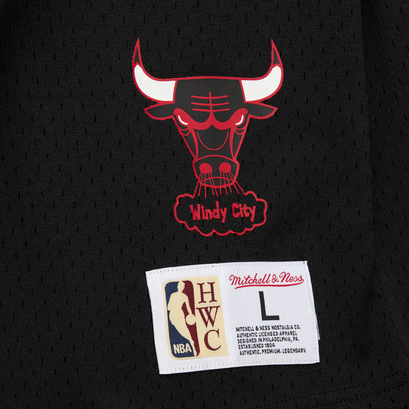 Chicago Bulls Mitchell & Ness '96 Dennis Rodman Mesh Hooded T-Shirt