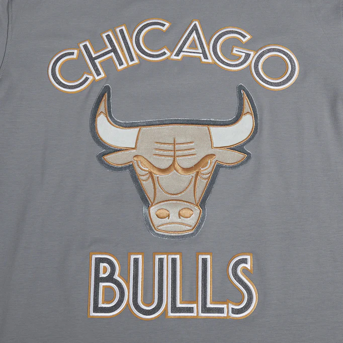 2024-25 Chicago Bulls City Edition Pro Standard Multi-Logo Grey T-Shirt