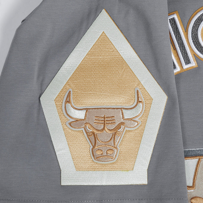 2024-25 Chicago Bulls City Edition Pro Standard Multi-Logo Grey T-Shirt