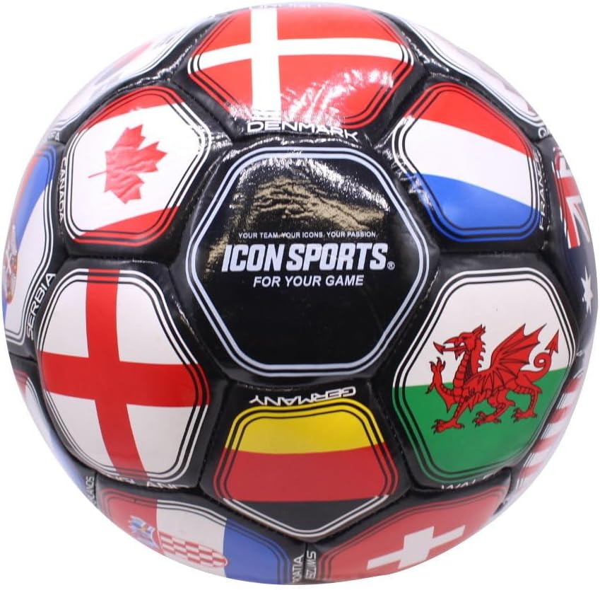 Tripact Inc 2026 World Cup World Flag Training Outdoor Soccer Ball – Size 5 – Black Verion