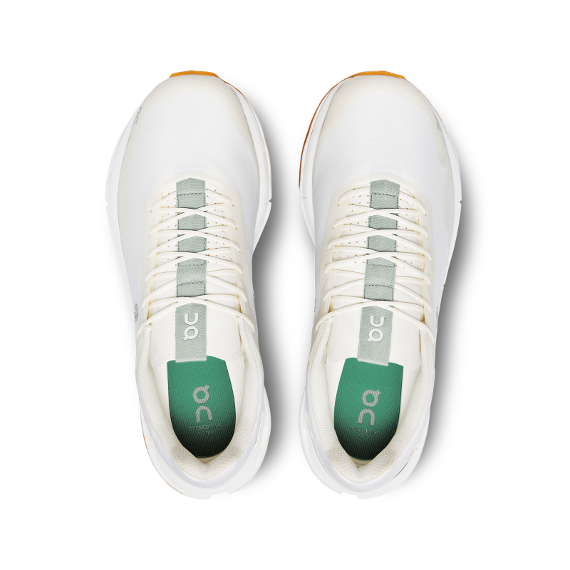 Cloudnova Form