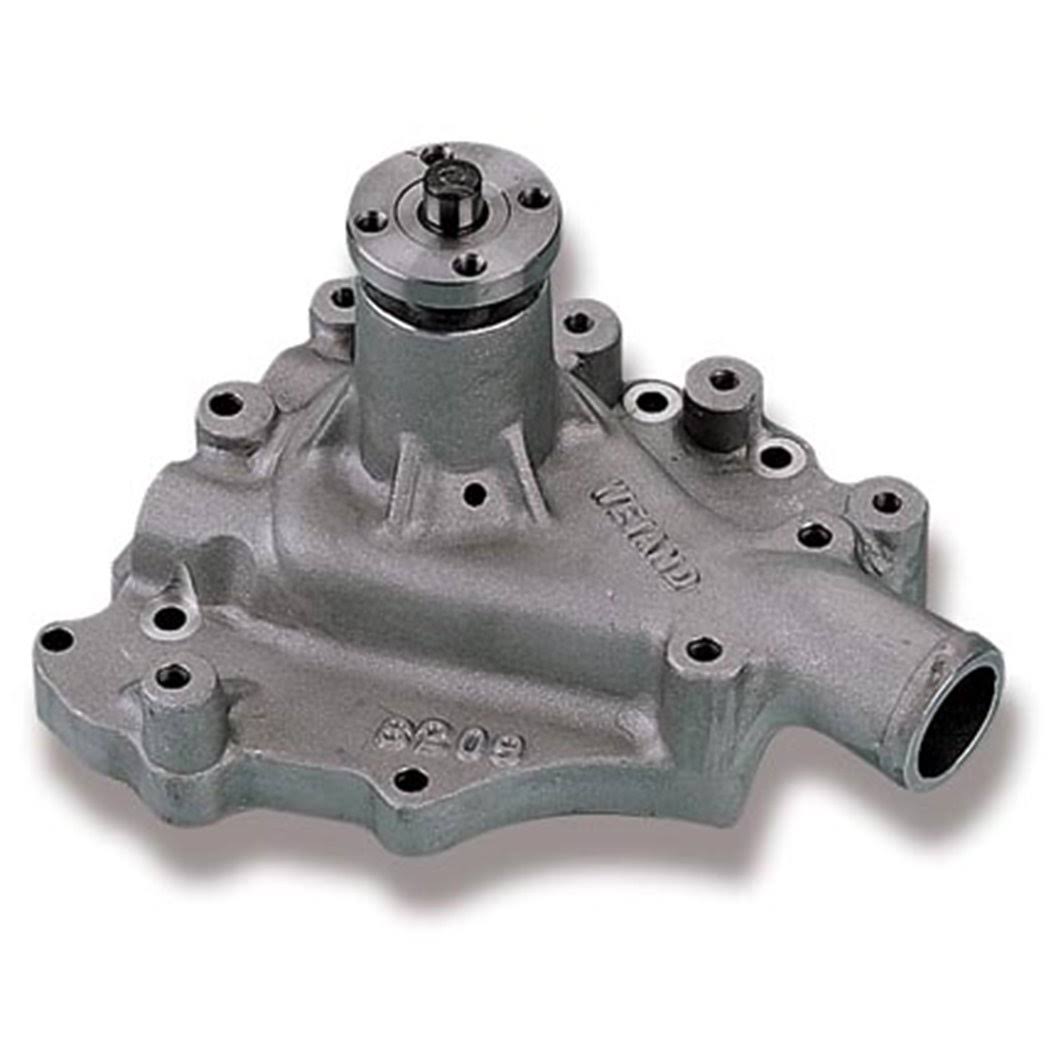 Weiand 8209 Action +Plus Water Pump ahuboo