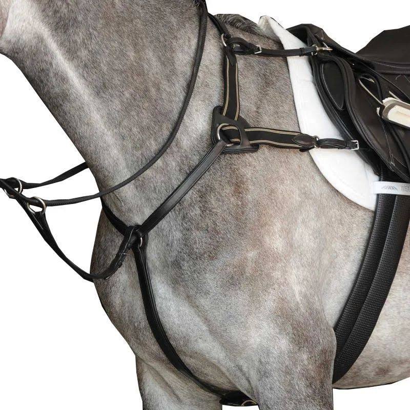 Collegiate 5Point Breastplate IV COB / Black ahuboo