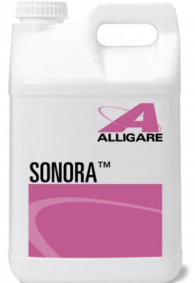 🔥Clopyralid 3 Herbicide 2.5 gal- Transline or Reclaim Herbicide - dersya