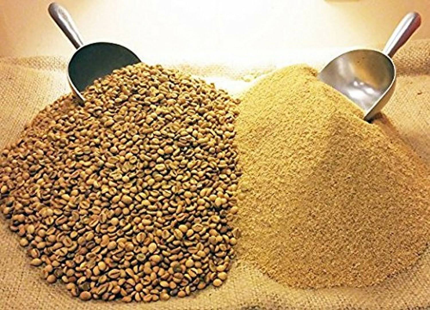 The Real Deal Enema Coffee Best Coffee for Enema 1lb Bag 100