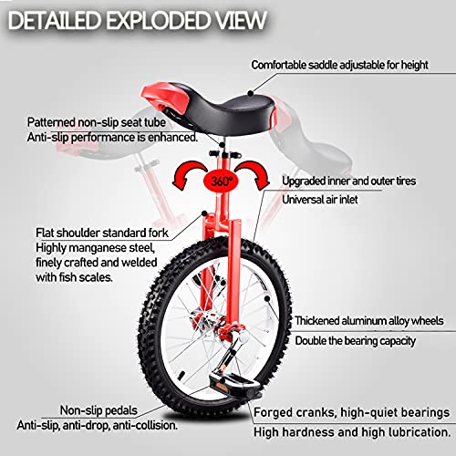Outdoor Large Wheel Unicycle with Fat Tire, Adjustable Saddle