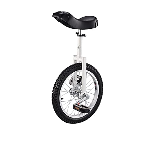 Outdoor Large Wheel Unicycle with Fat Tire, Adjustable Saddle
