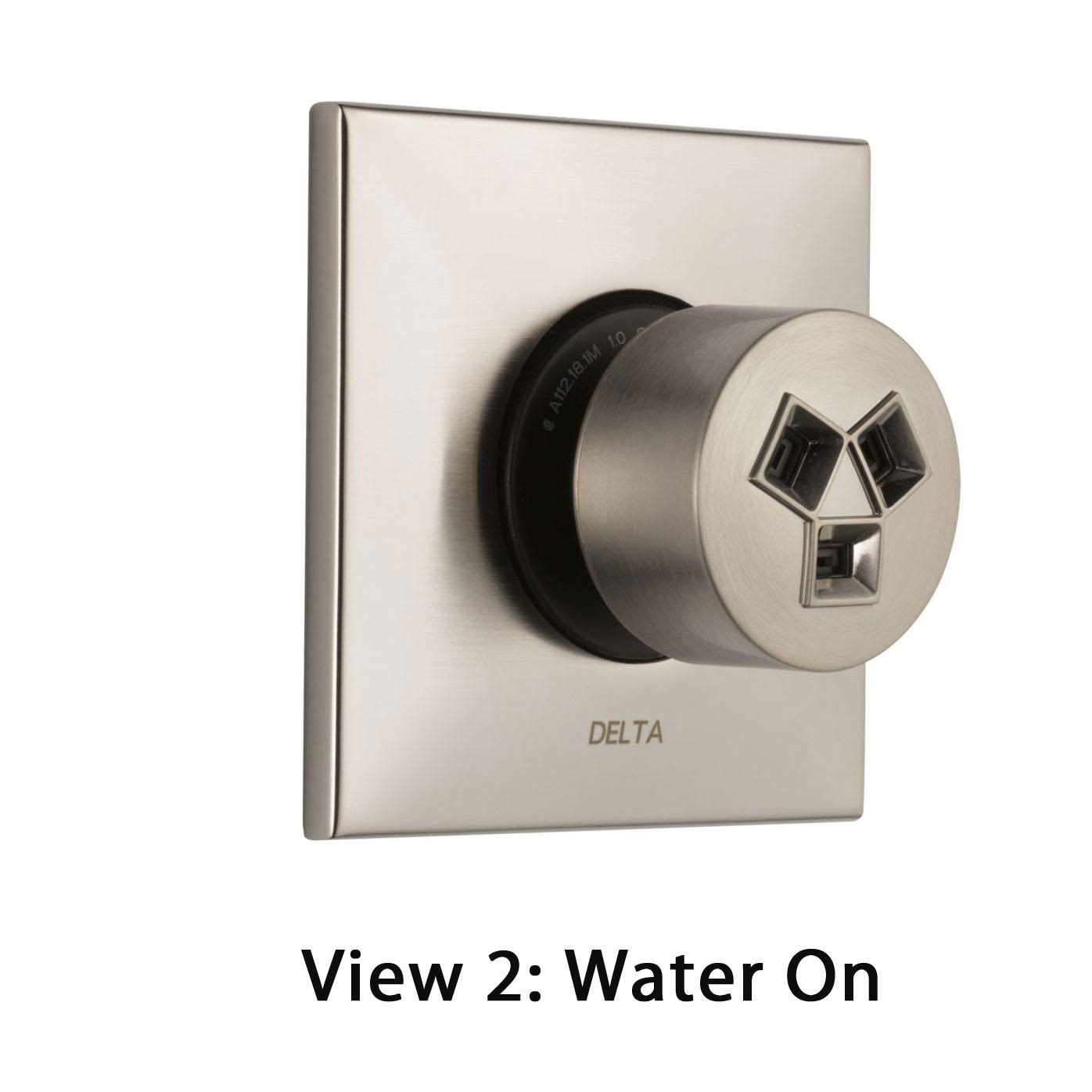 Delta Stainless Steel Finish HydraChoice Body Spray Valve, TRIM, Spray