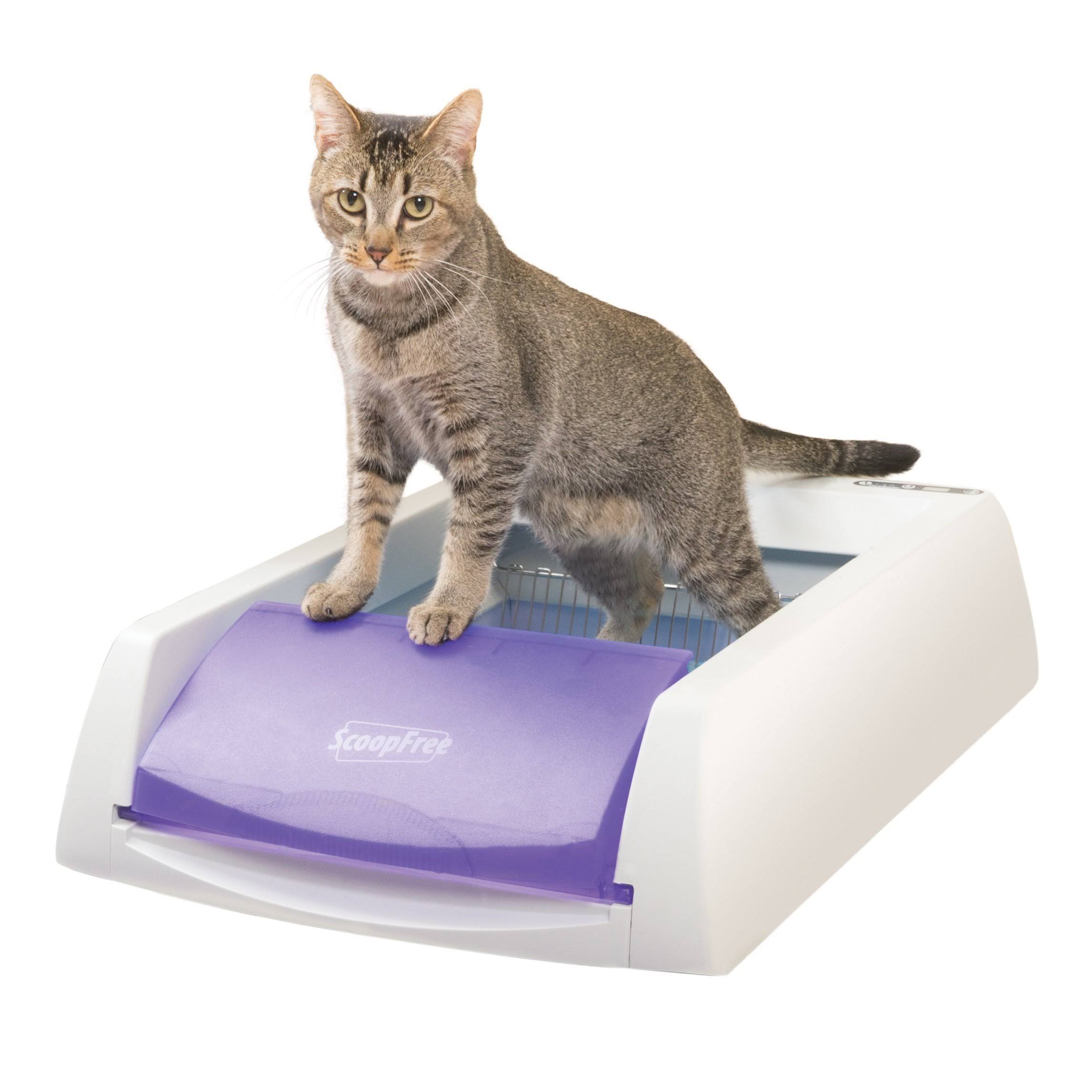 ScoopFree Original SelfCleaning Cat Litter Box Purple dersya