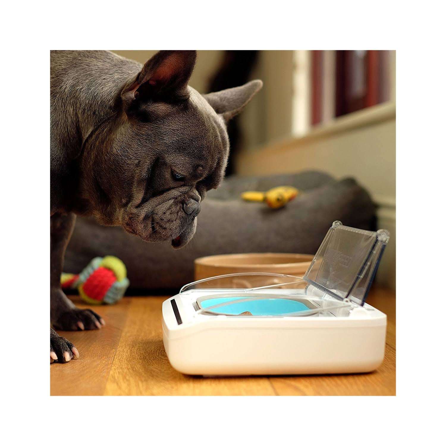 🔥SureFeed Sealed Pet Bowl dersya