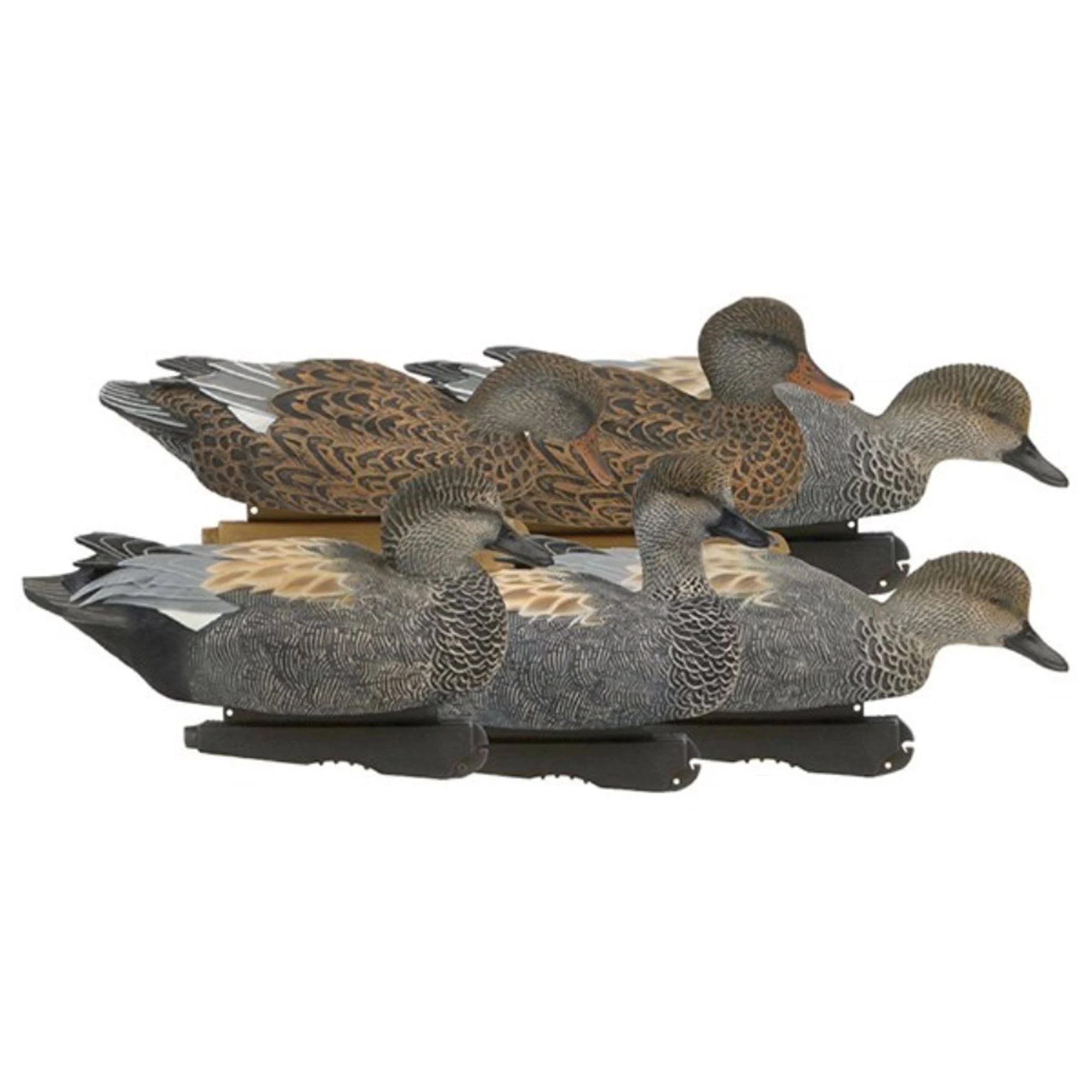 Greenhead Gear Pro Grade Gadwall Duck Decoys dersya