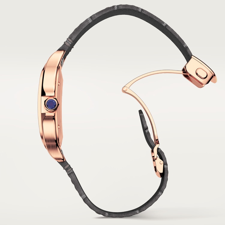 SANTOS DE CARTY WATCH