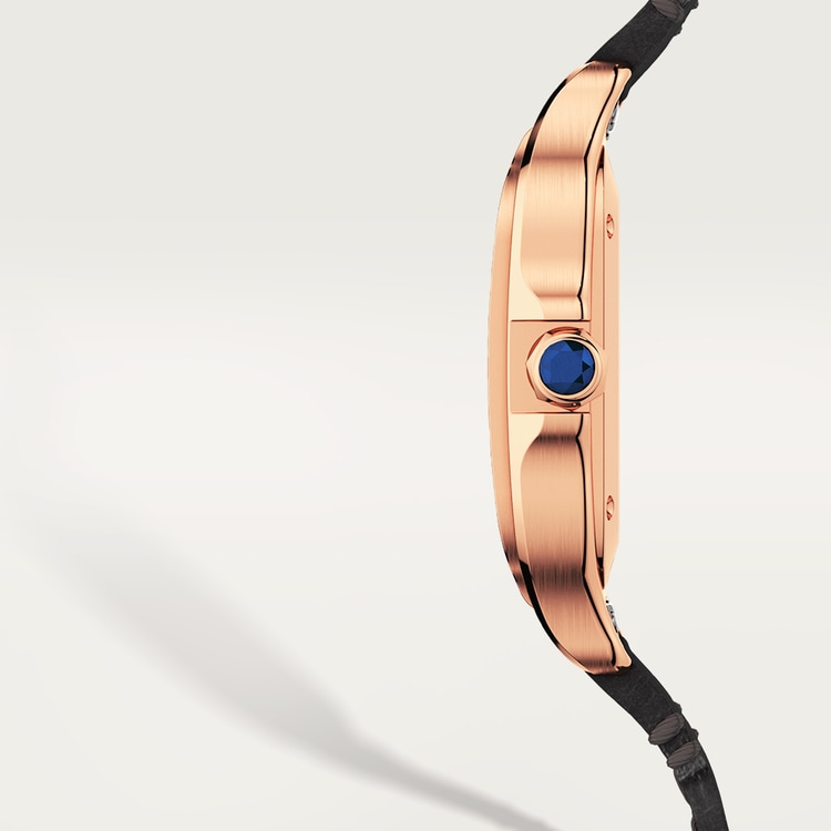 SANTOS DE CARTIER WATCH