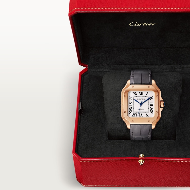 SANTOS DE CARTIER WATCH