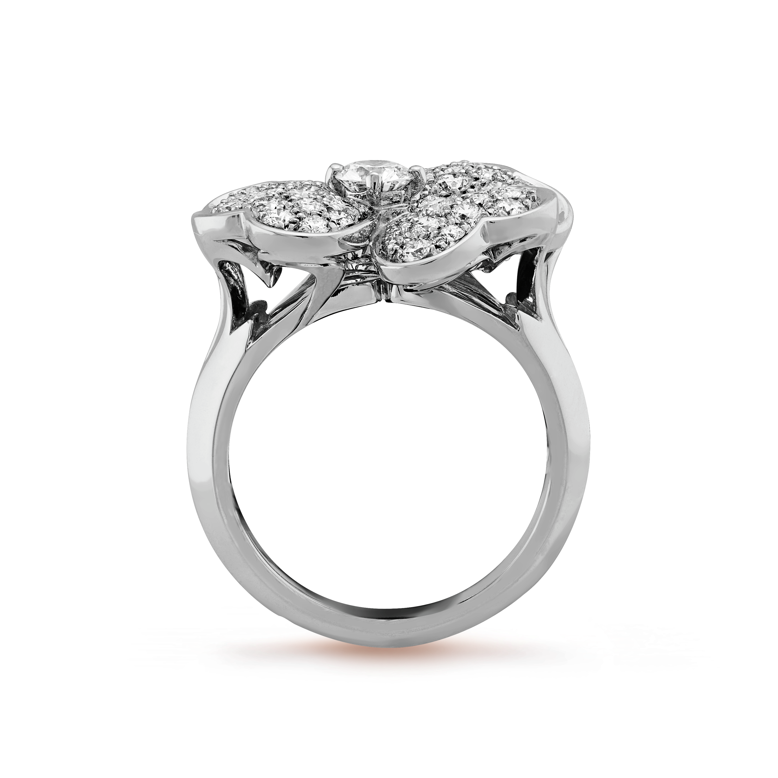 Cosmos medium model ring  white gold, Diamond