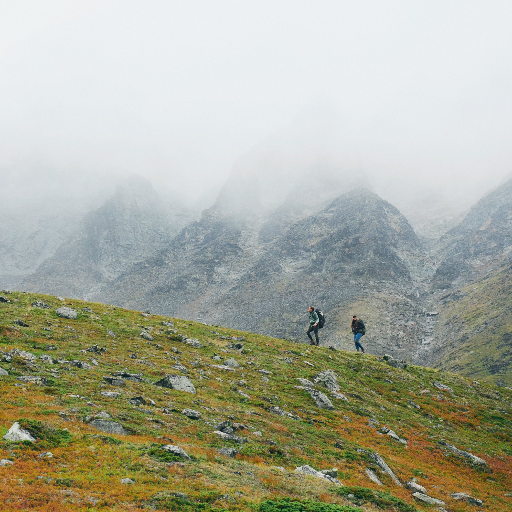 Abisko Trekking Tights Pro M