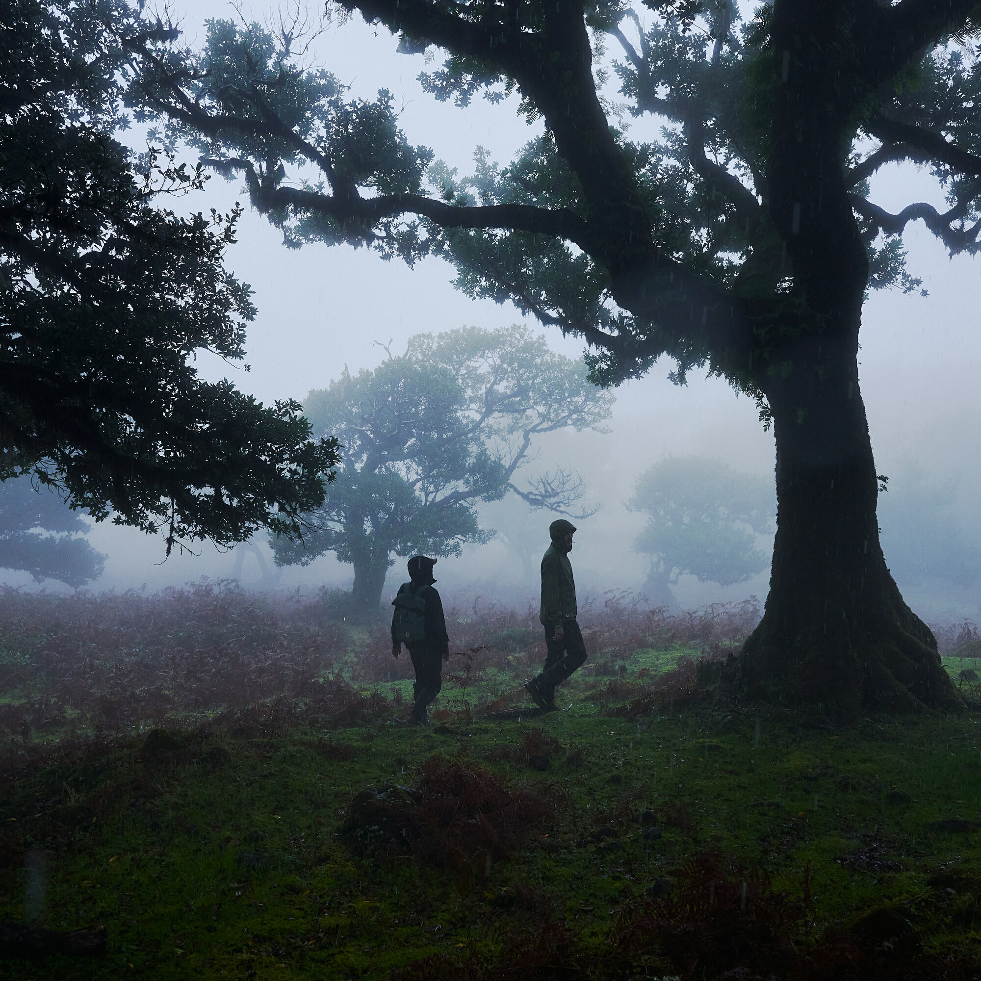 High Coast Foldsack 24