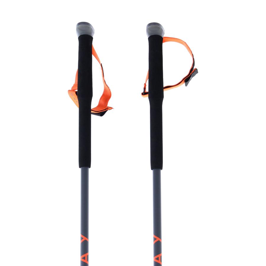 TR Carbon Vario Ski Poles · 2023