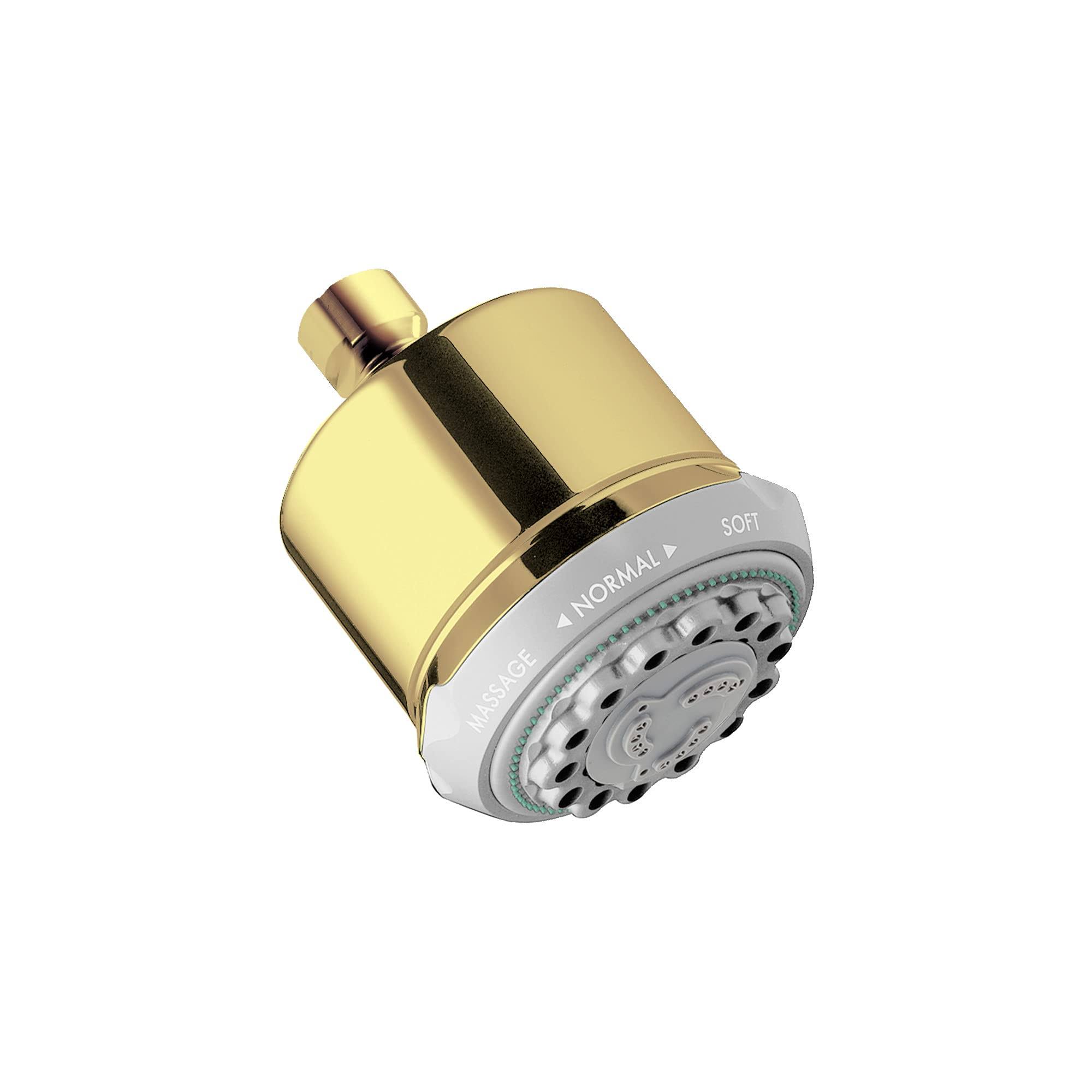 Hansgrohe 28496931 Clubmaster Polished Brass Showerhead