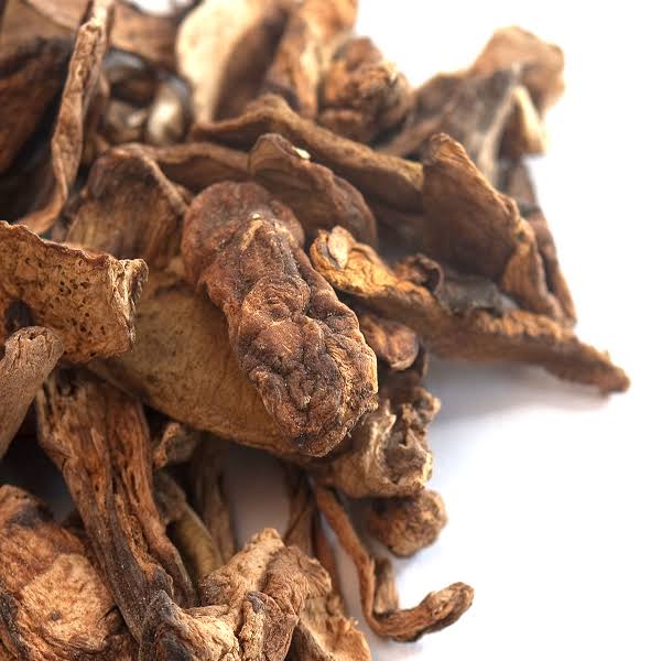 Dried Porcini Mushrooms Grade B 25 lb Bulk