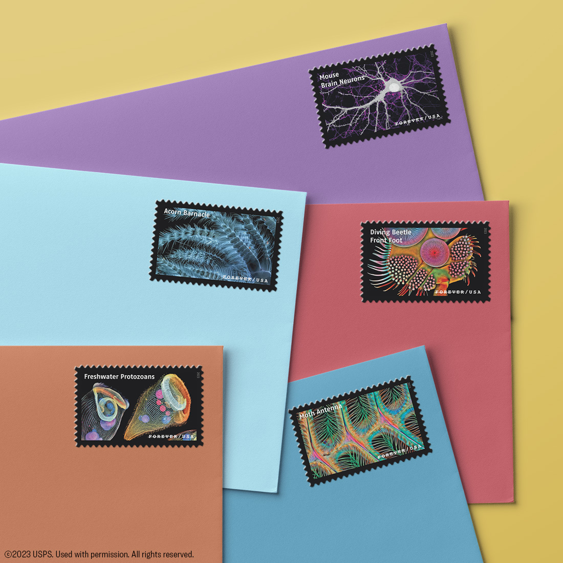 Life Magnified Stamps 2023