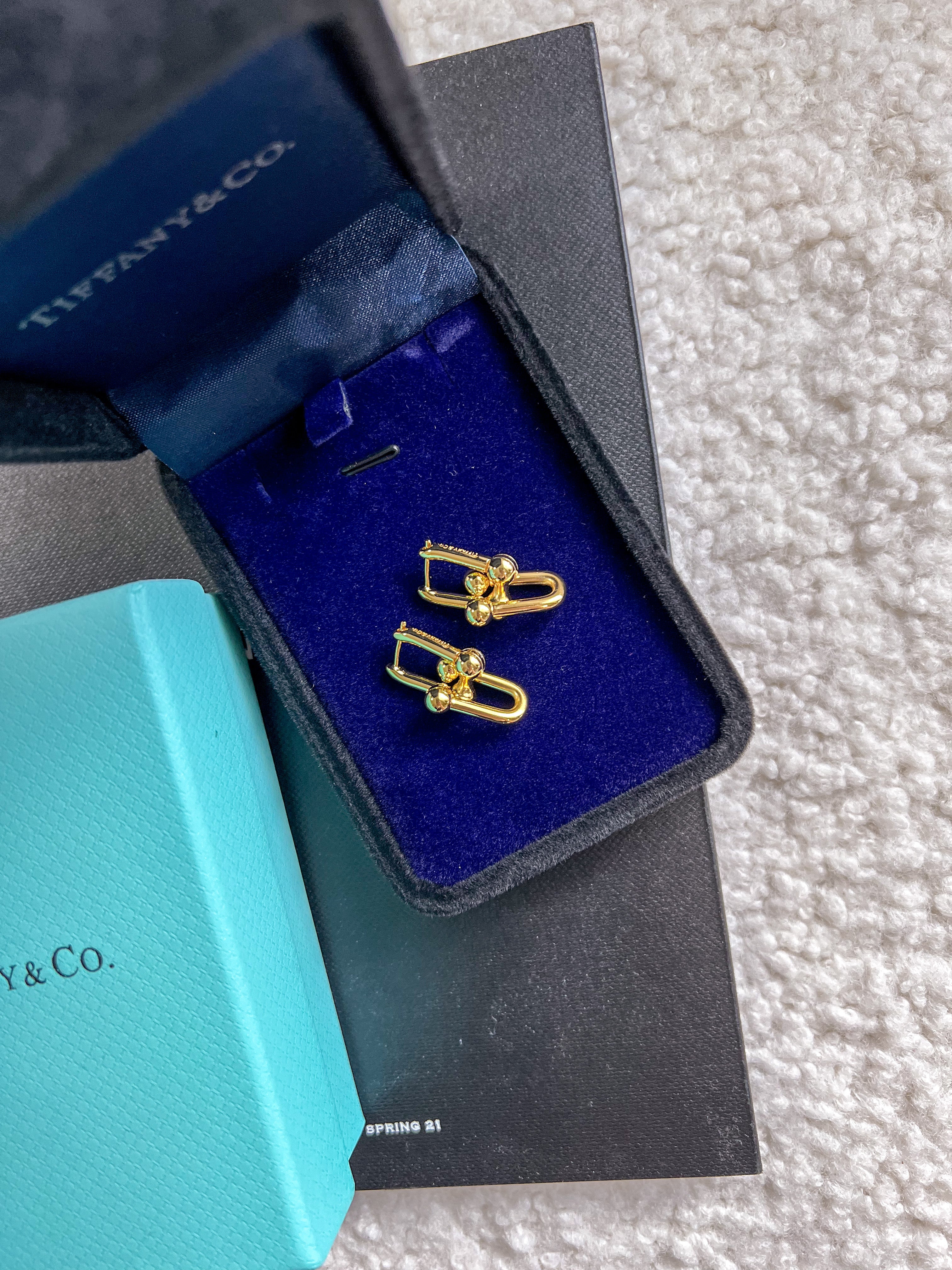 [TOP] Tiffany & Co. Link Earrings - Gold