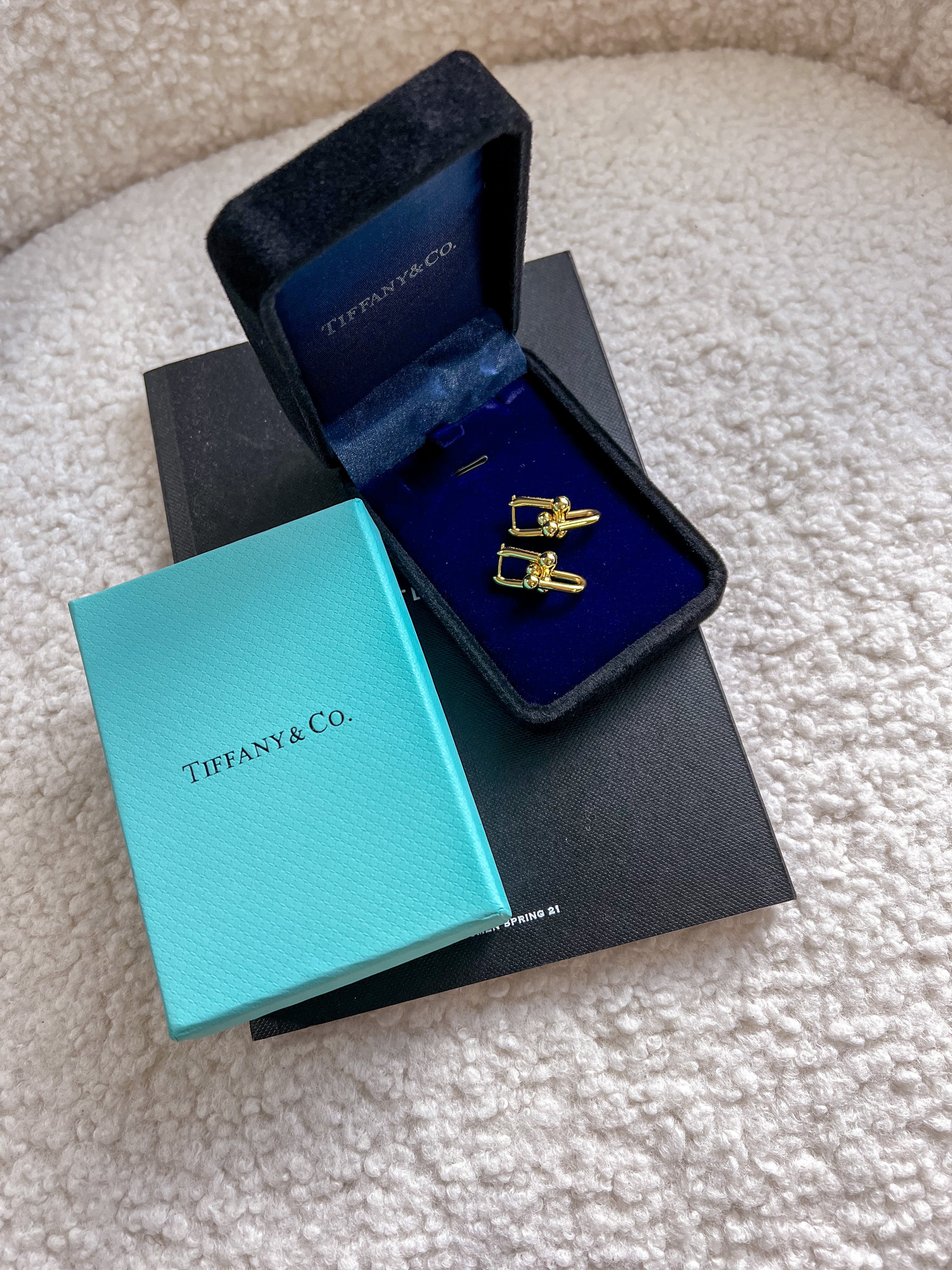 [TOP] Tiffany & Co. Link Earrings - Gold