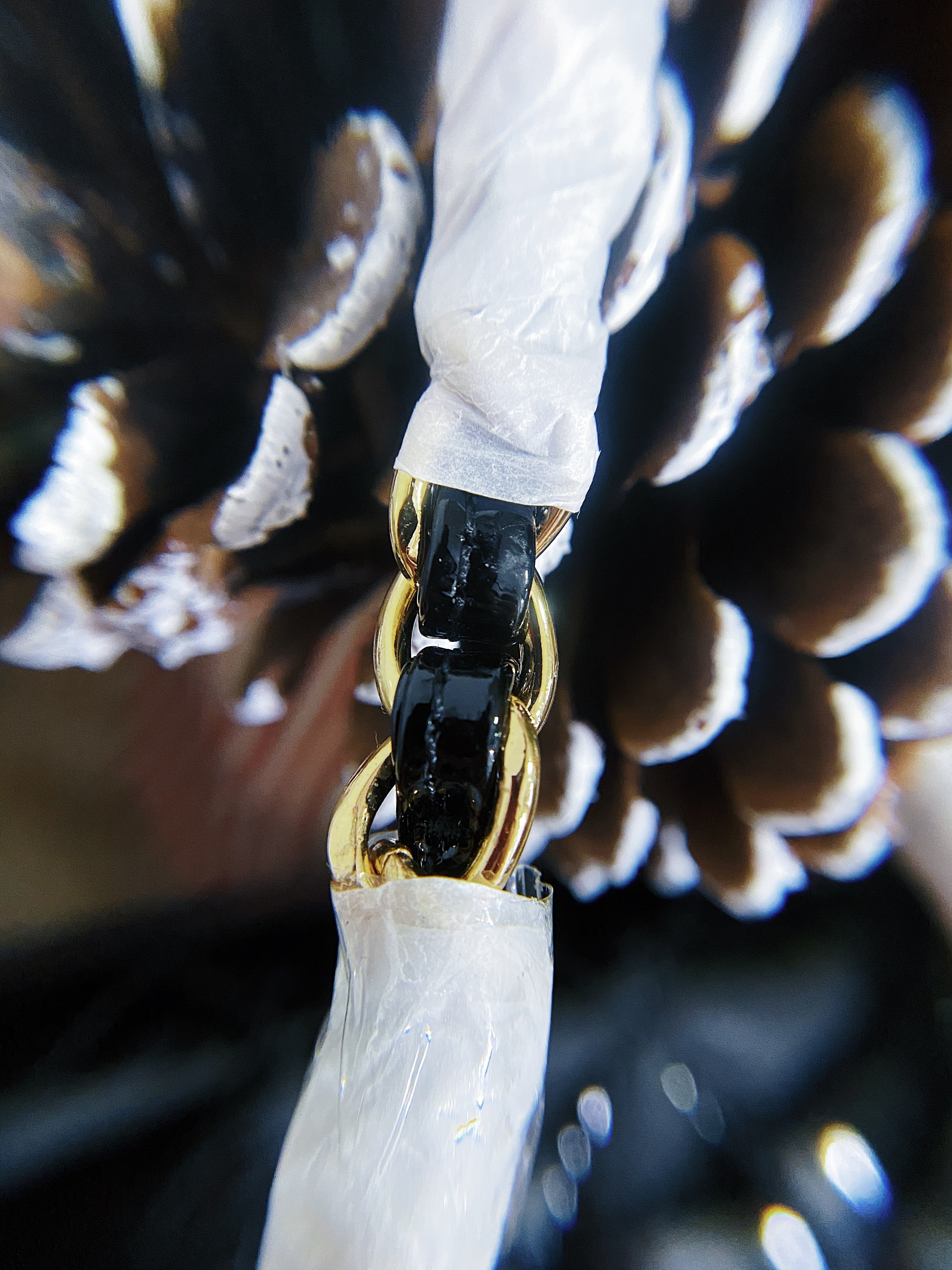 [TOP] CHANEL Classic Flap Bag Patent Medium 25.5cm – Black & GHW