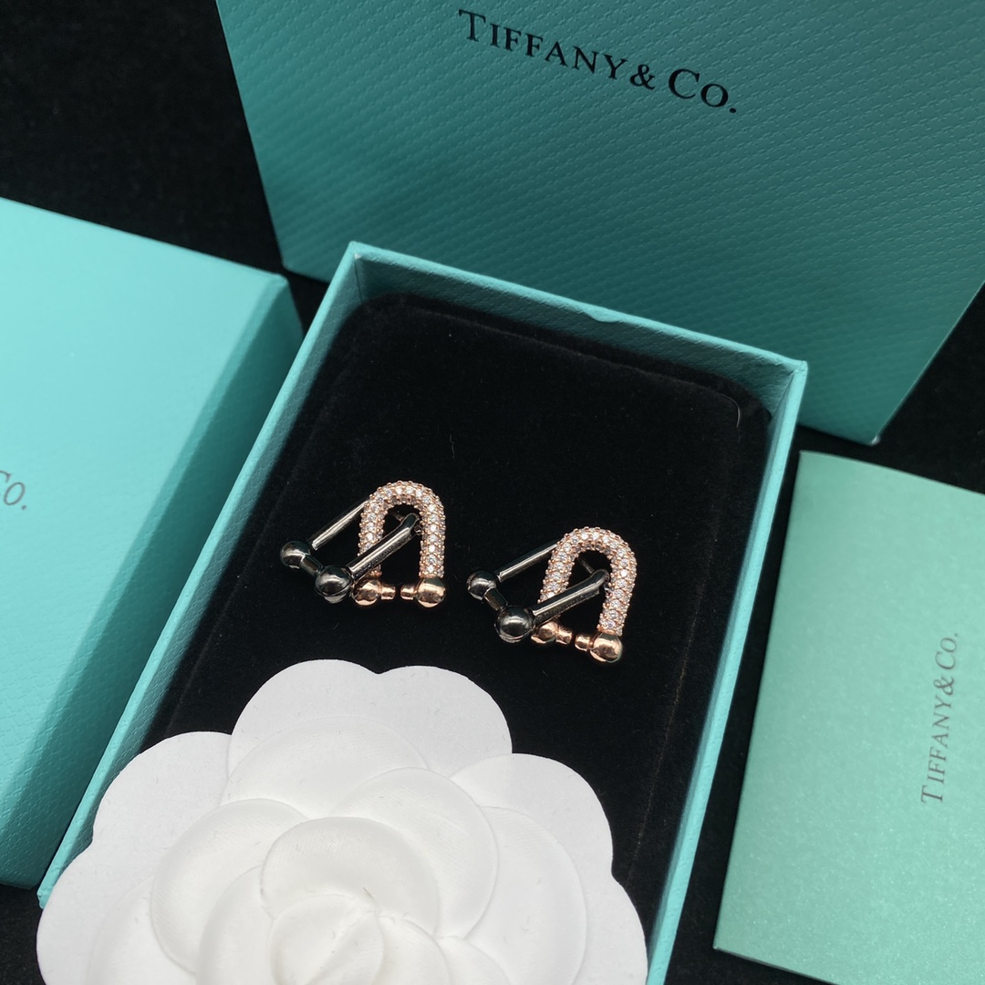 [TOP] Tiffany & Co. Lock  Earrings