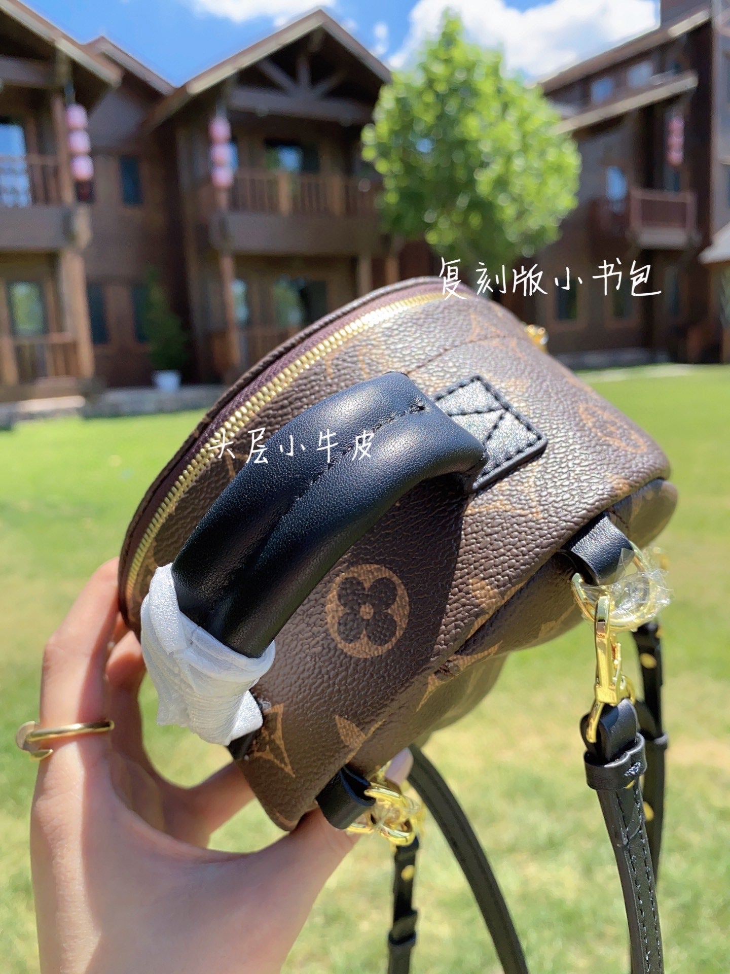 [TOP] Louis Vuitton LV £V Palm Springs Mini Monogram 17 x 22 x 10 cm-Brown