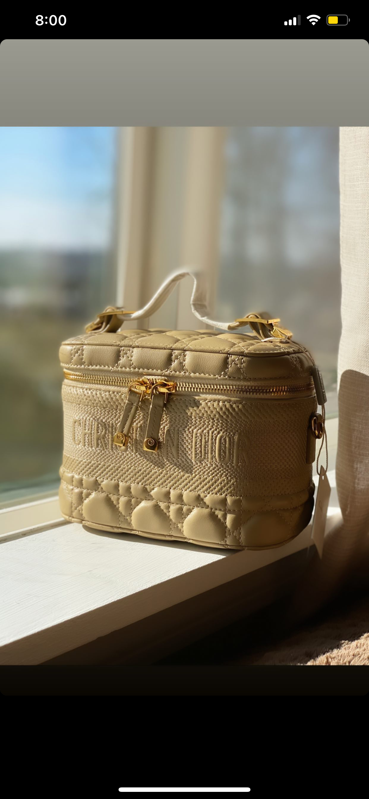 [TOP] Christian Dior Cannage Vanity Case - Beige