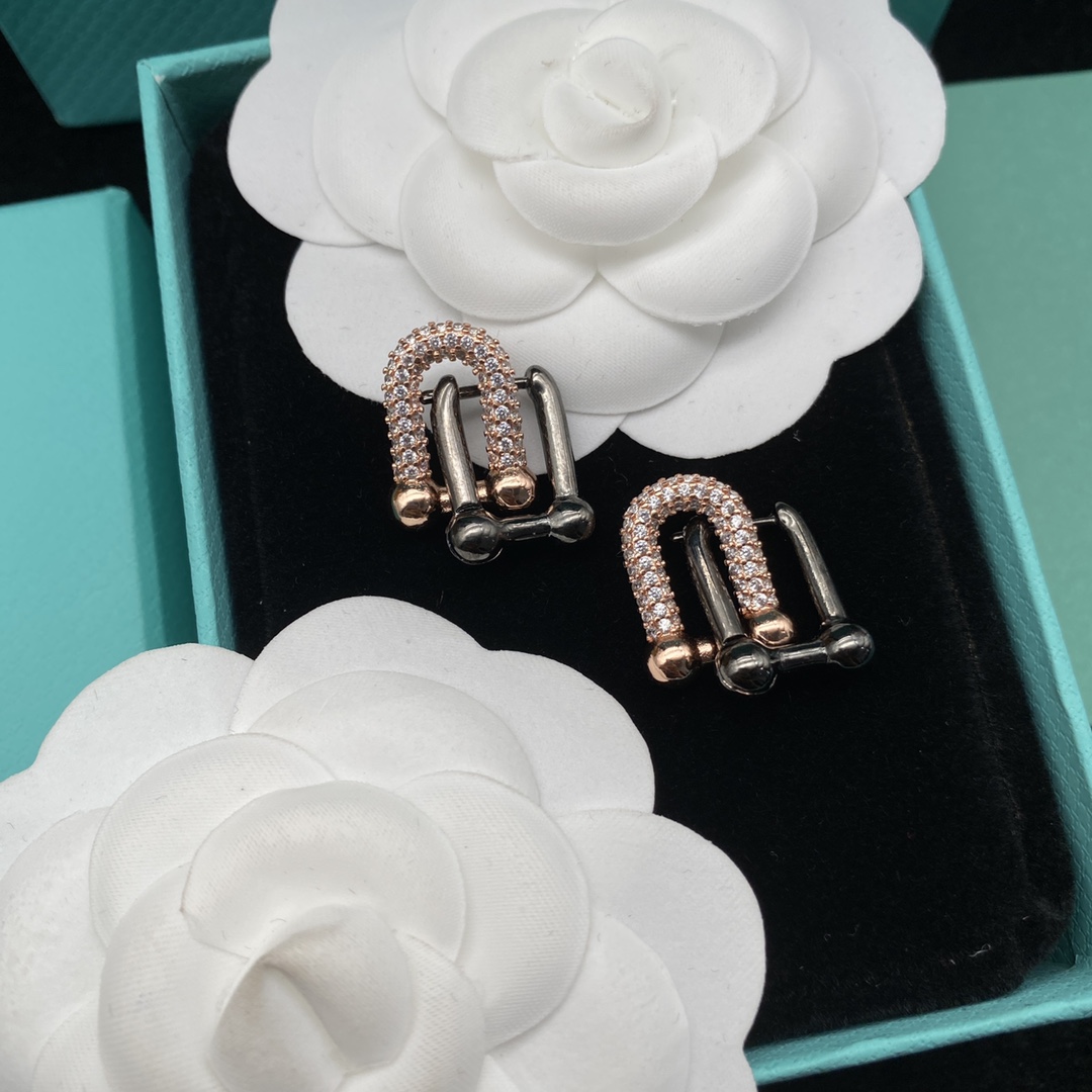[TOP] Tiffany & Co. Lock  Earrings