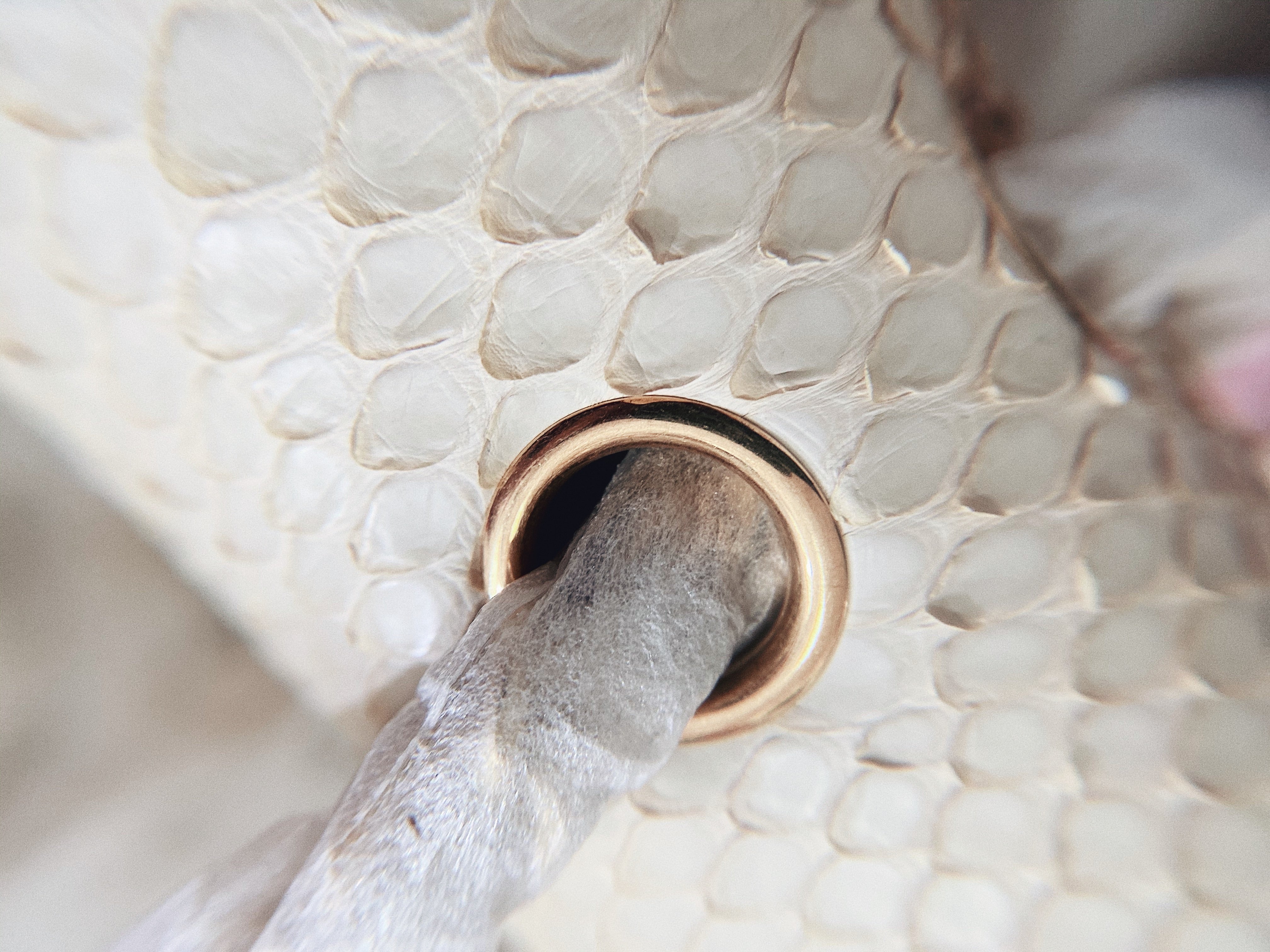 [TOP] CHANEL Classic Flap Bag True Python Leather Medium 25.5cm