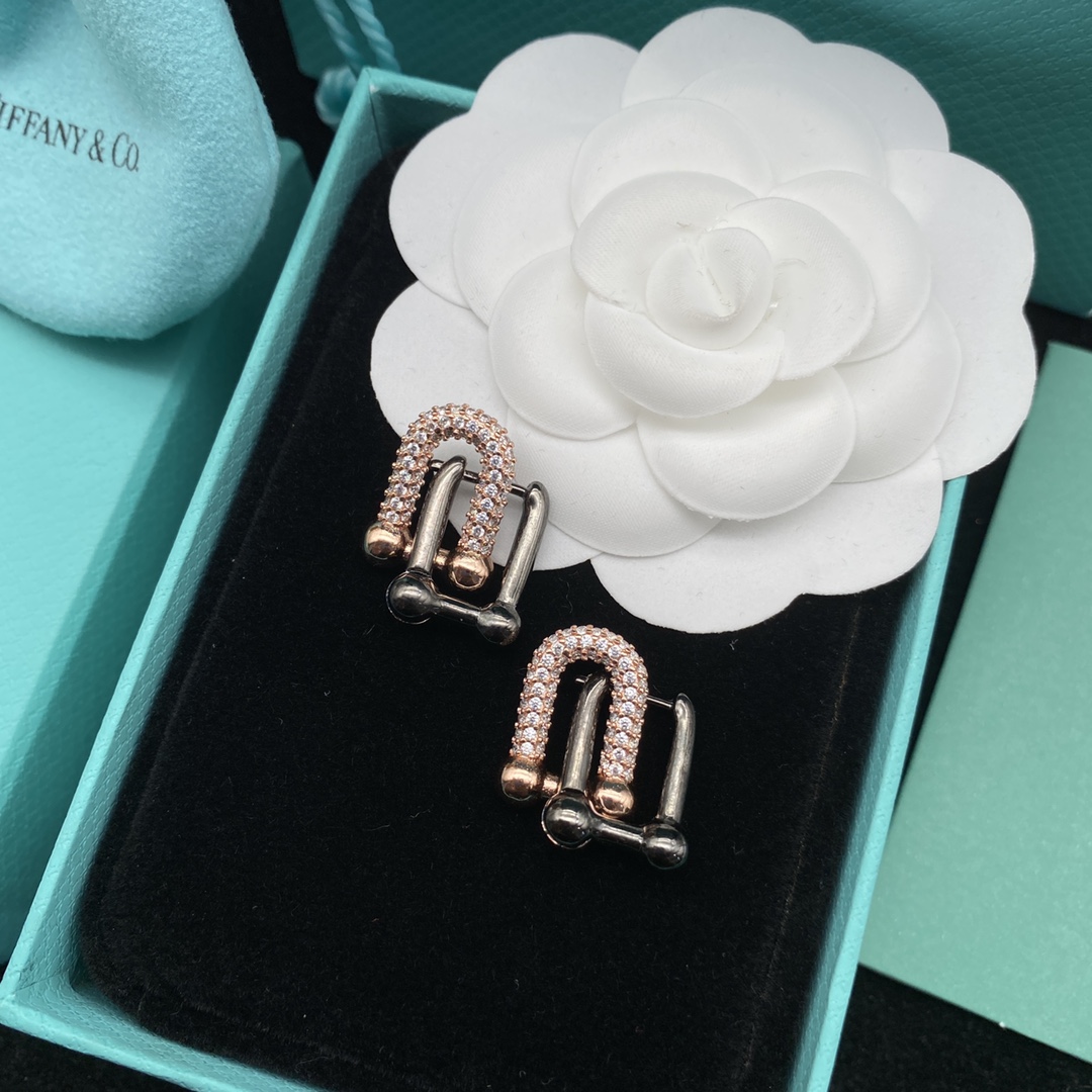 [TOP] Tiffany & Co. Lock  Earrings