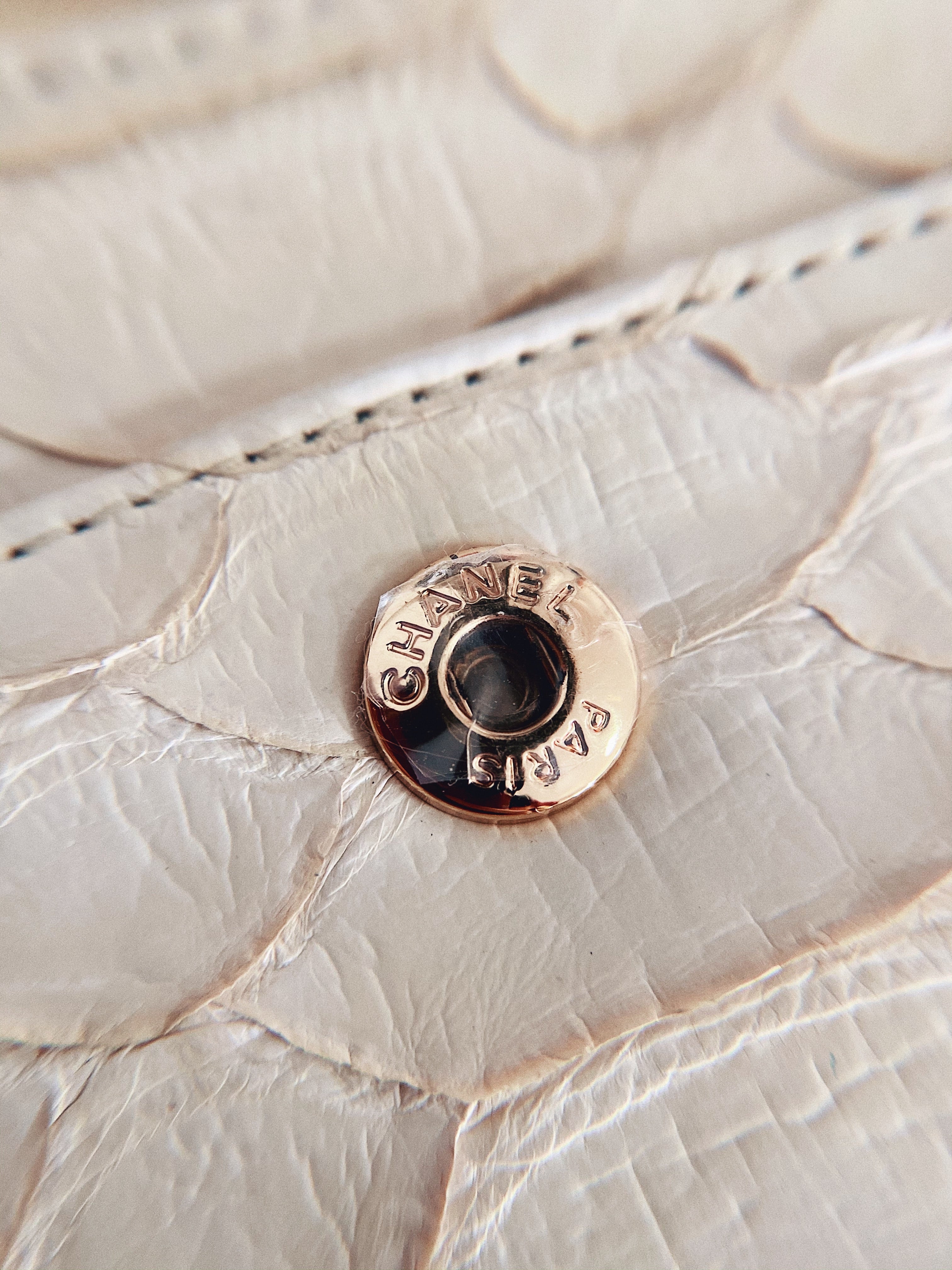 [TOP] CHANEL Classic Flap Bag True Python Leather Medium 25.5cm